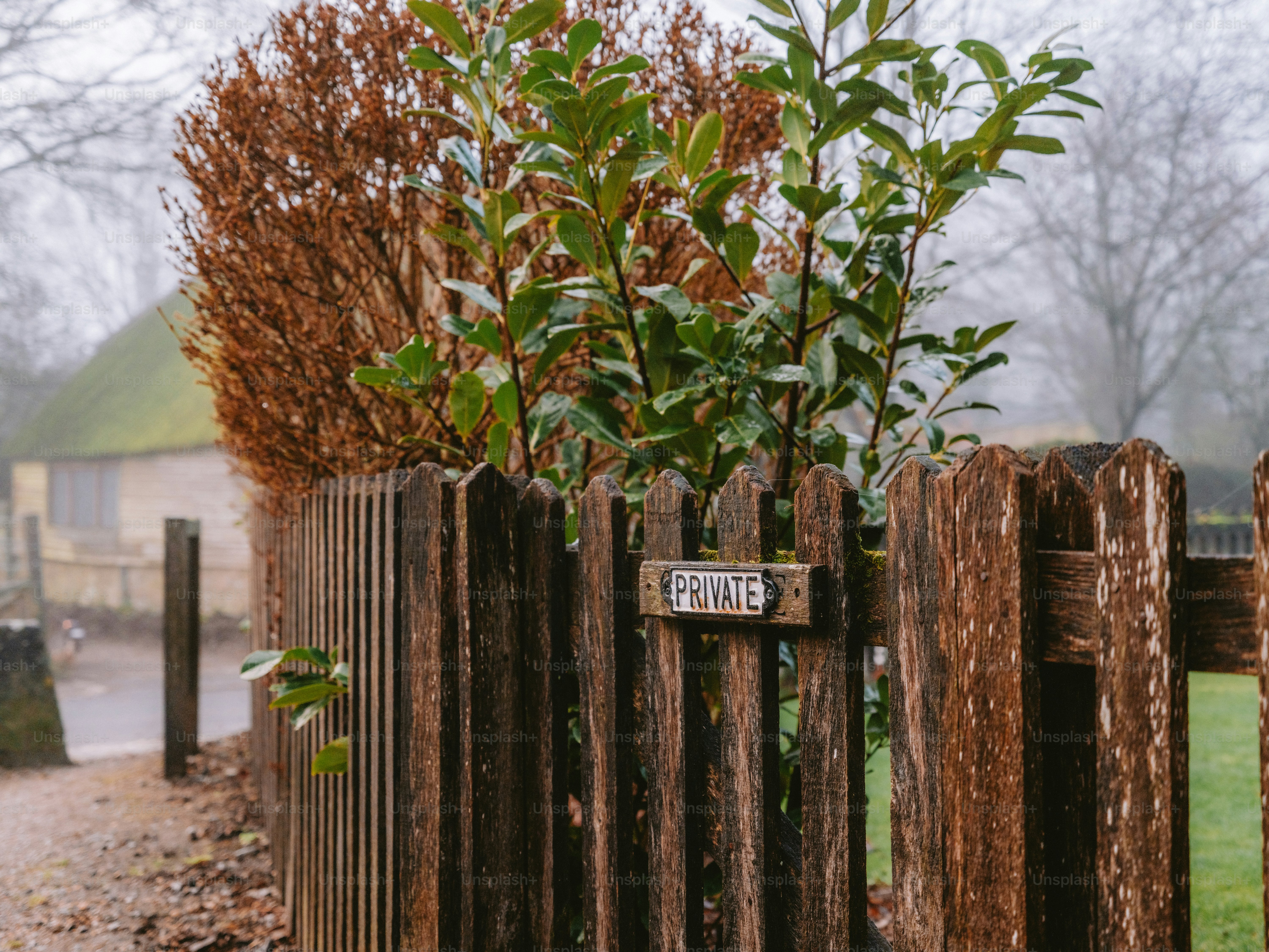 Wooden fence with 'private' sign and foliage