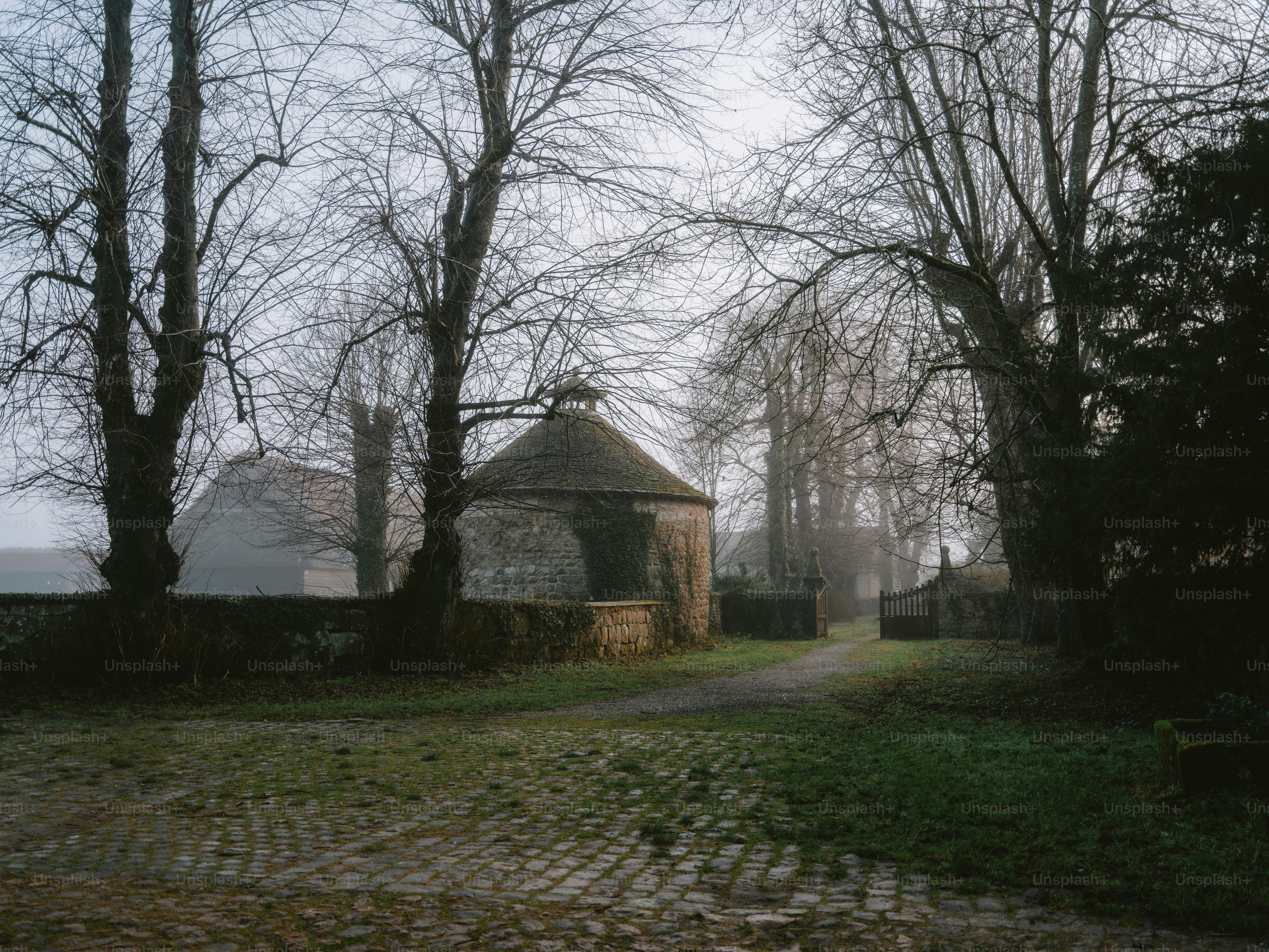 A circular building stands in a foggy, bare tree landscape.