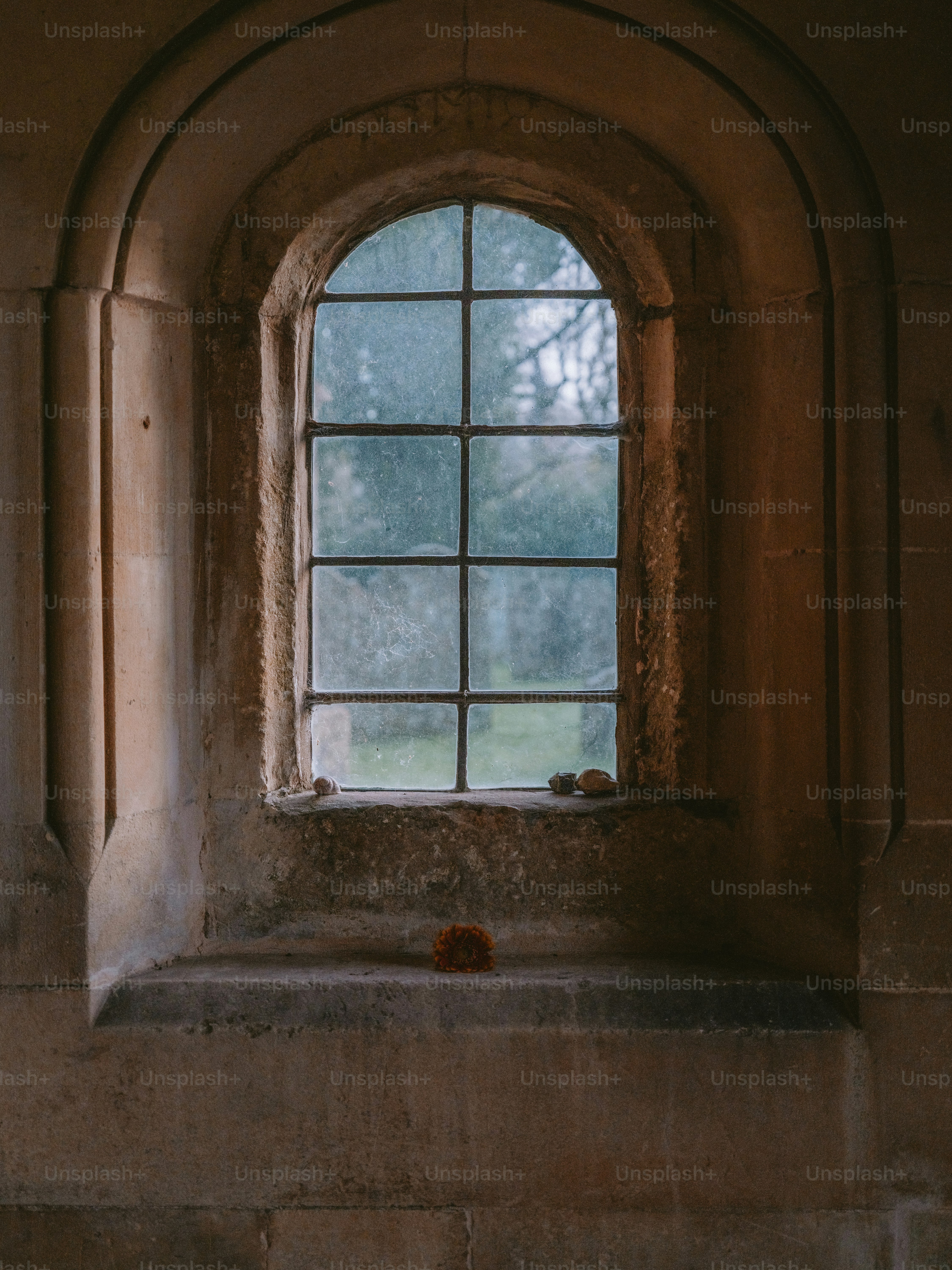 Arched stone window with a view of trees