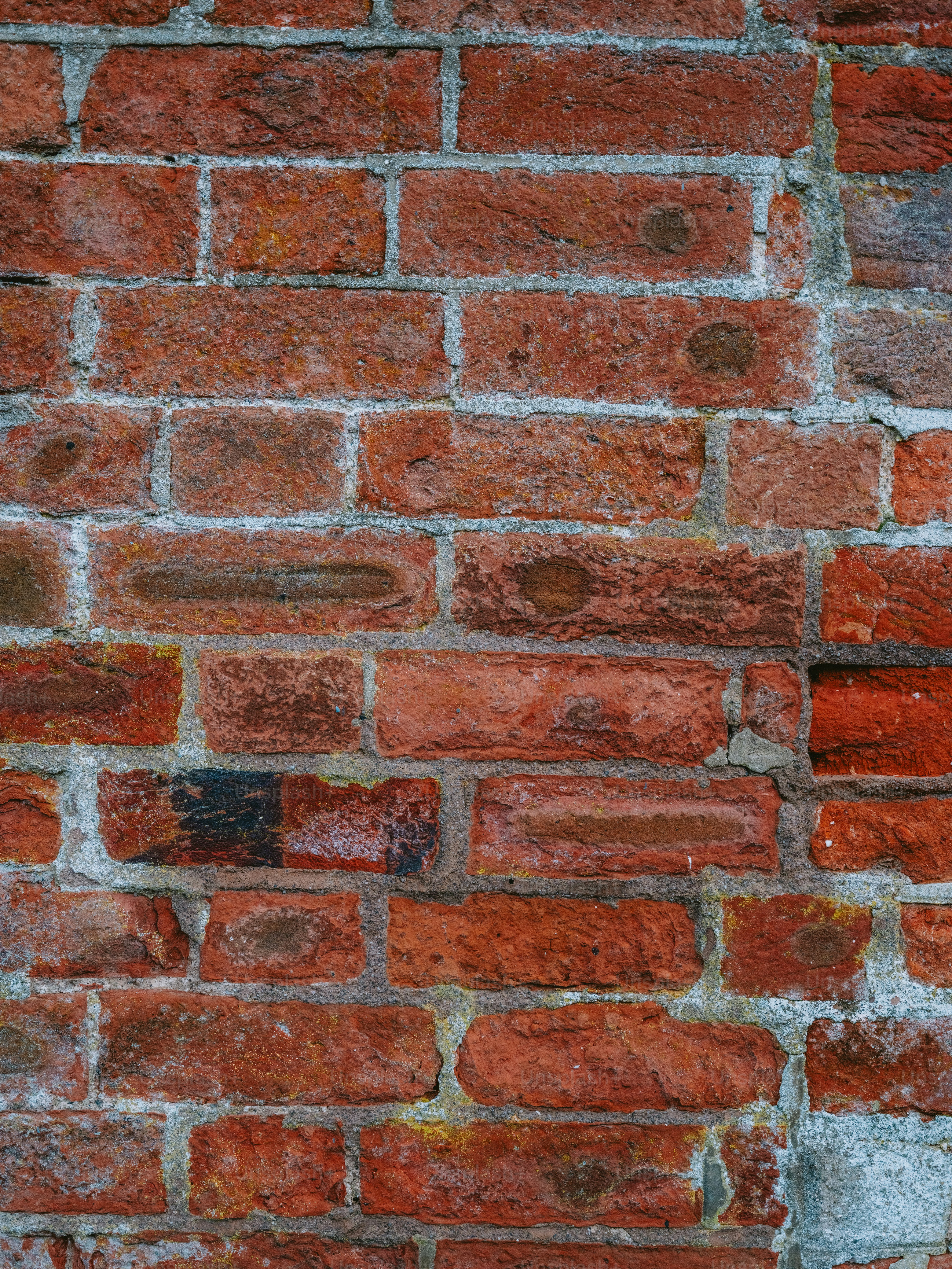 Weathered red brick wall with white mortar