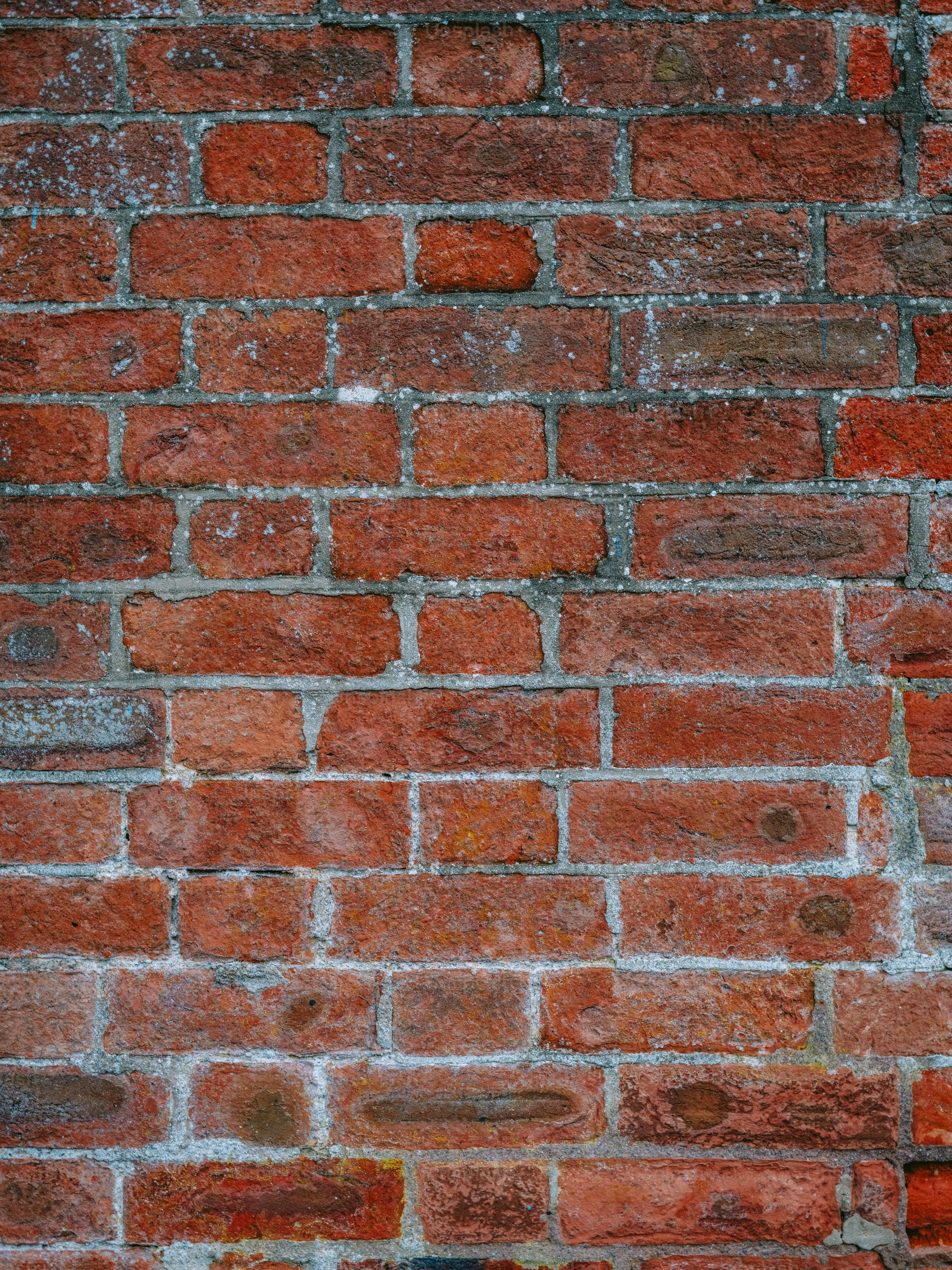A textured red brick wall background