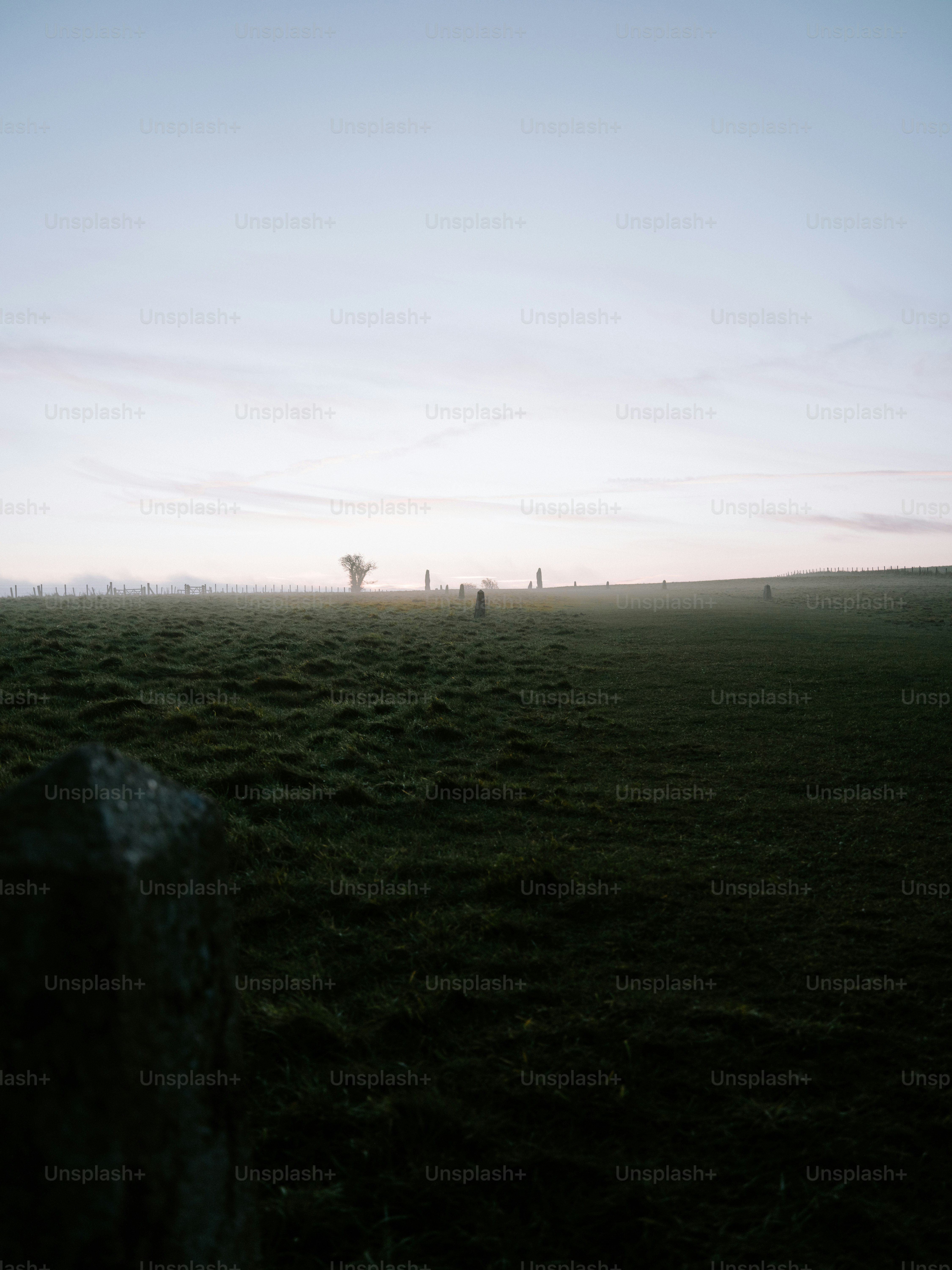 Ein nebliges Feld mit verstreuten Gestalten bei Tagesanbruch.