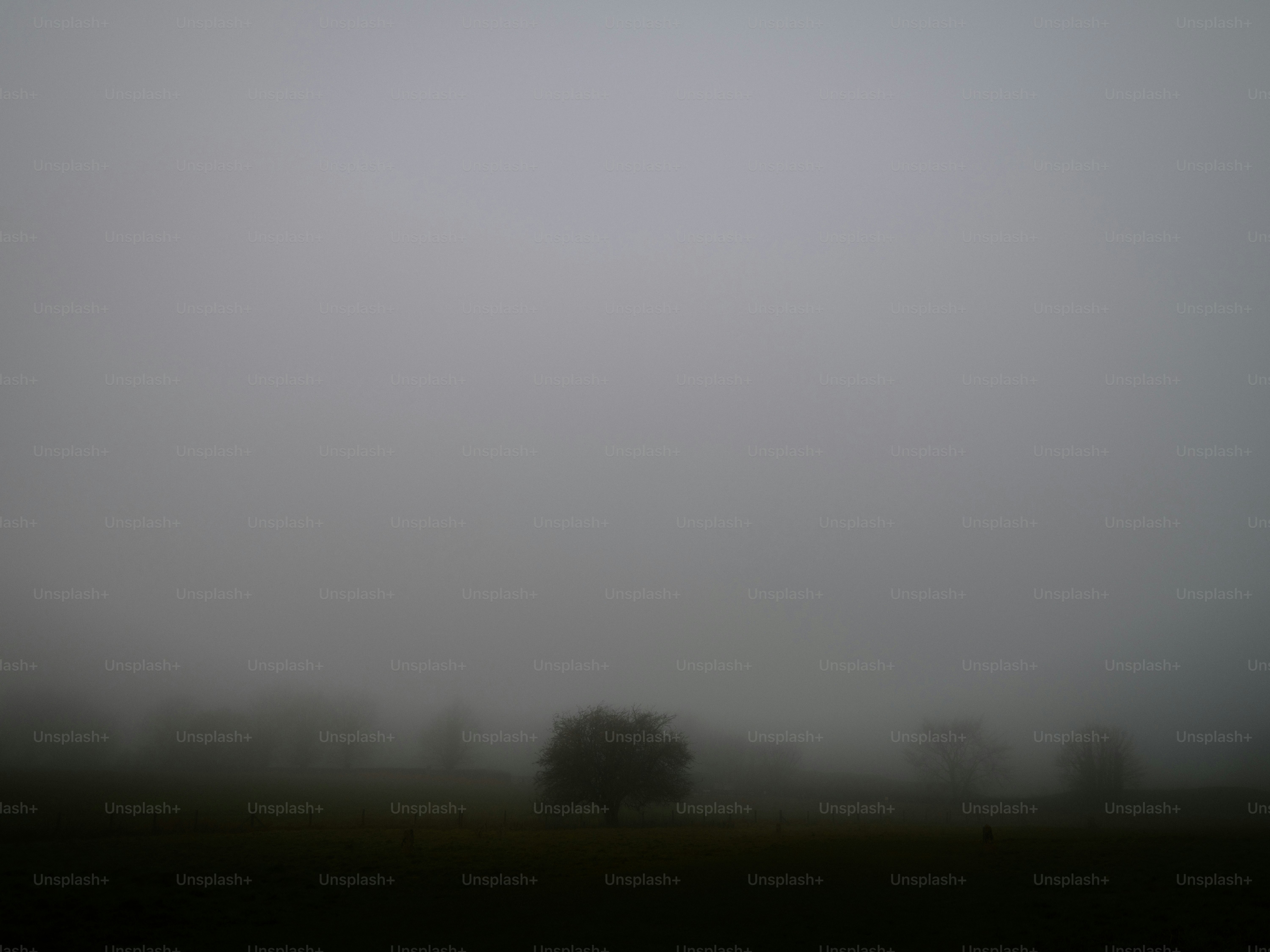 Pierre mégalithique dans un champ brumeux - Photo sur Unsplash+