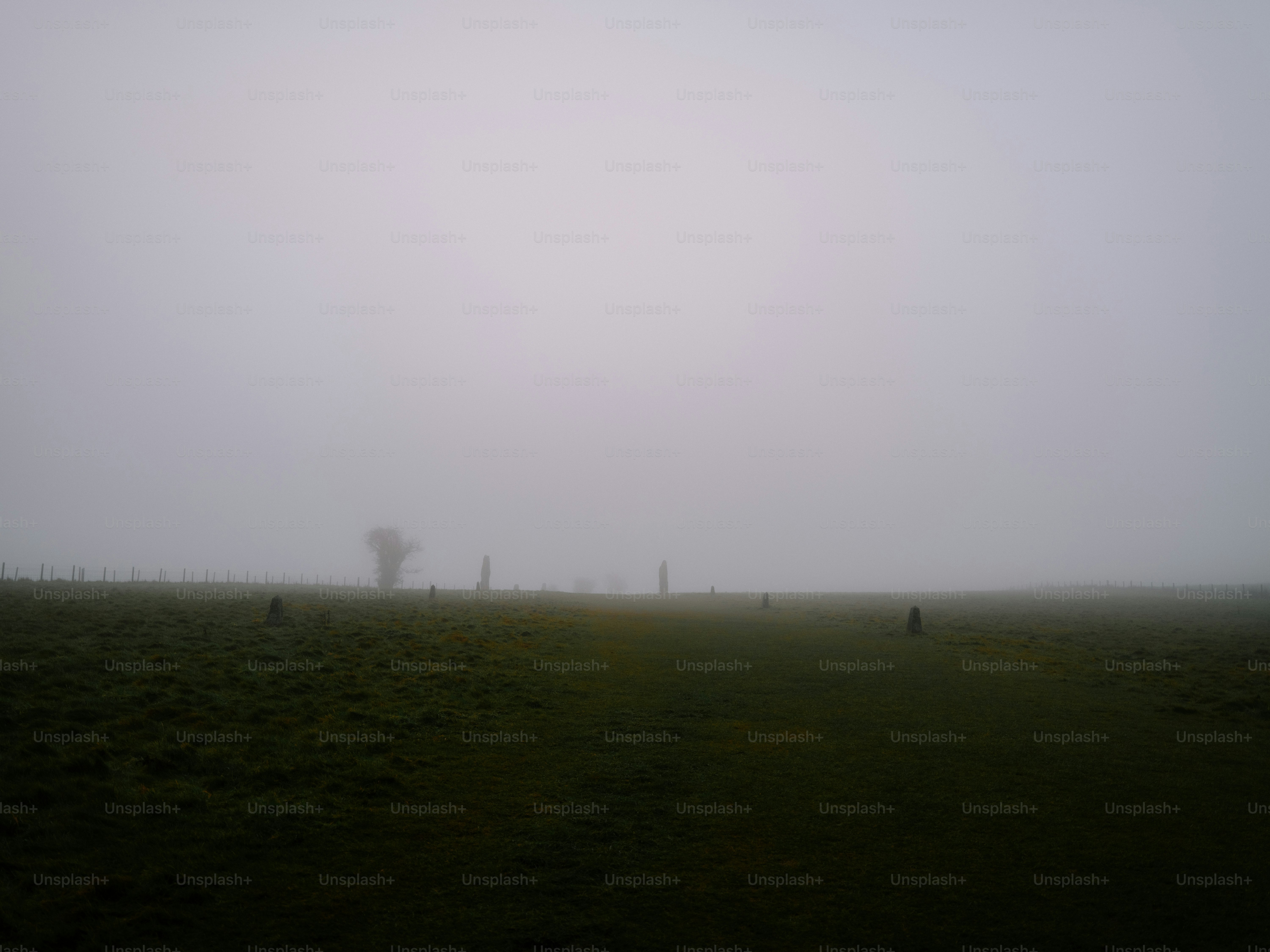 A foggy field with scattered trees and figures.