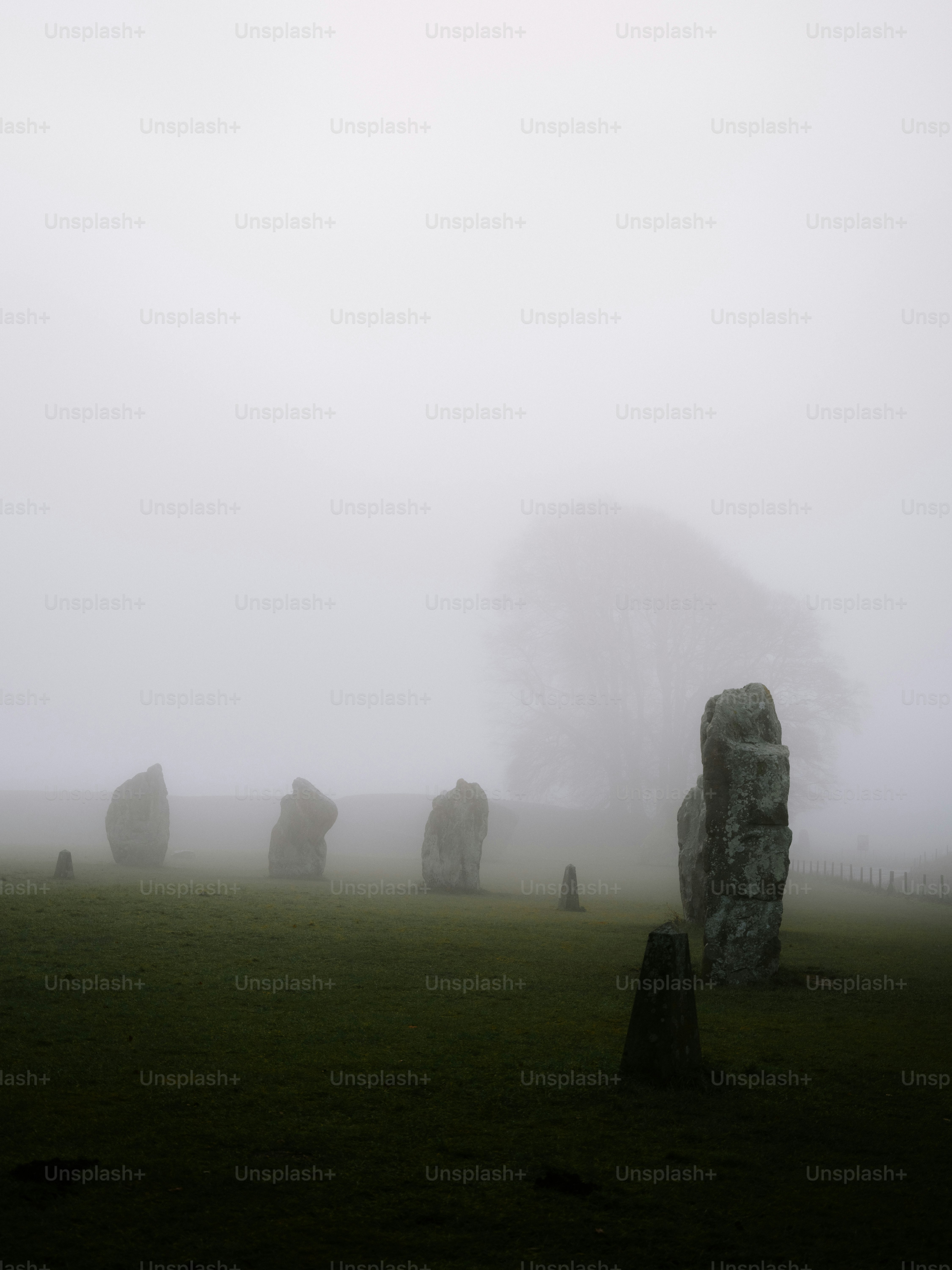 Megalithic stones stand in a foggy field.