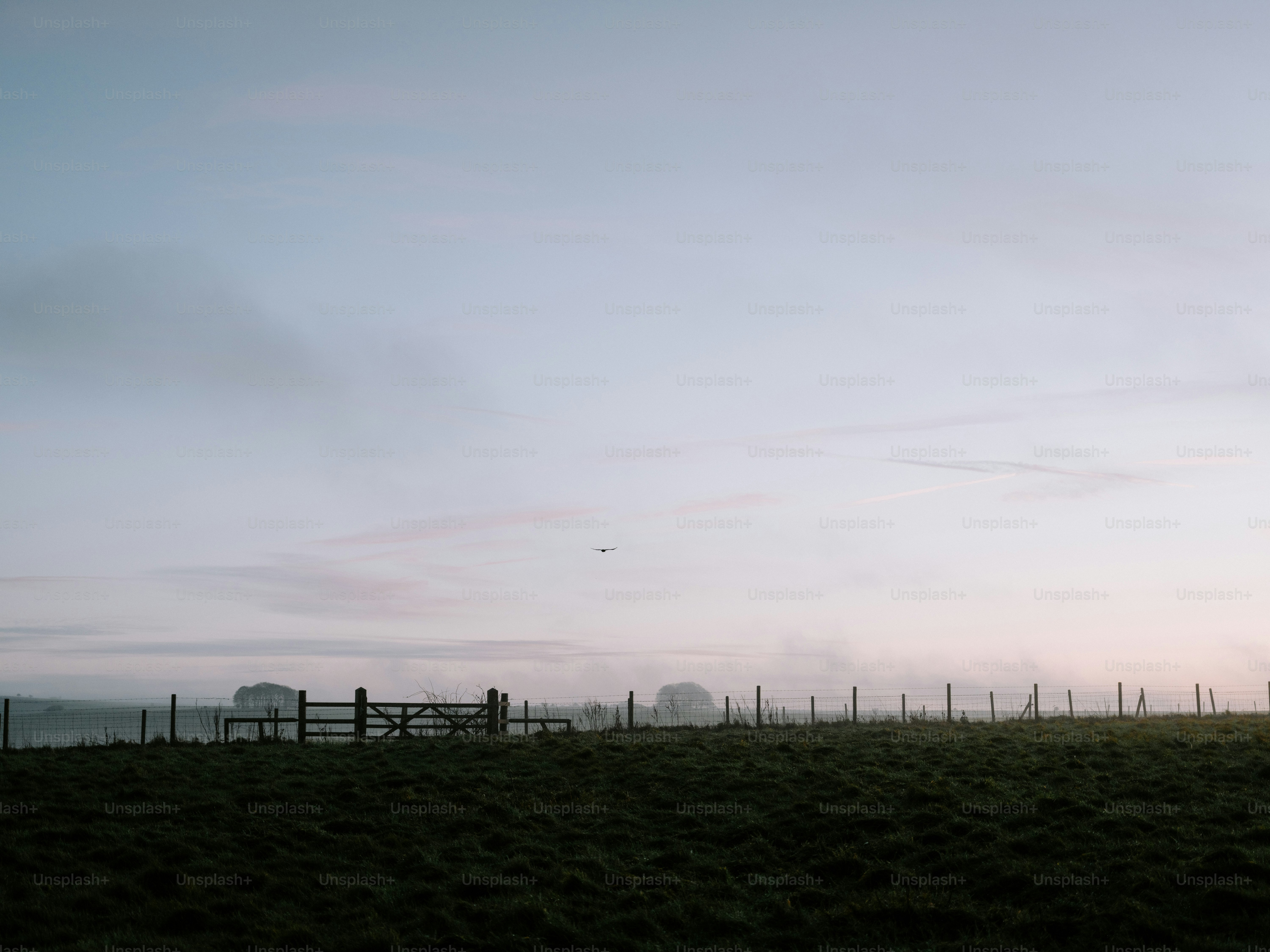 Misty field with a wooden fence at dawn.