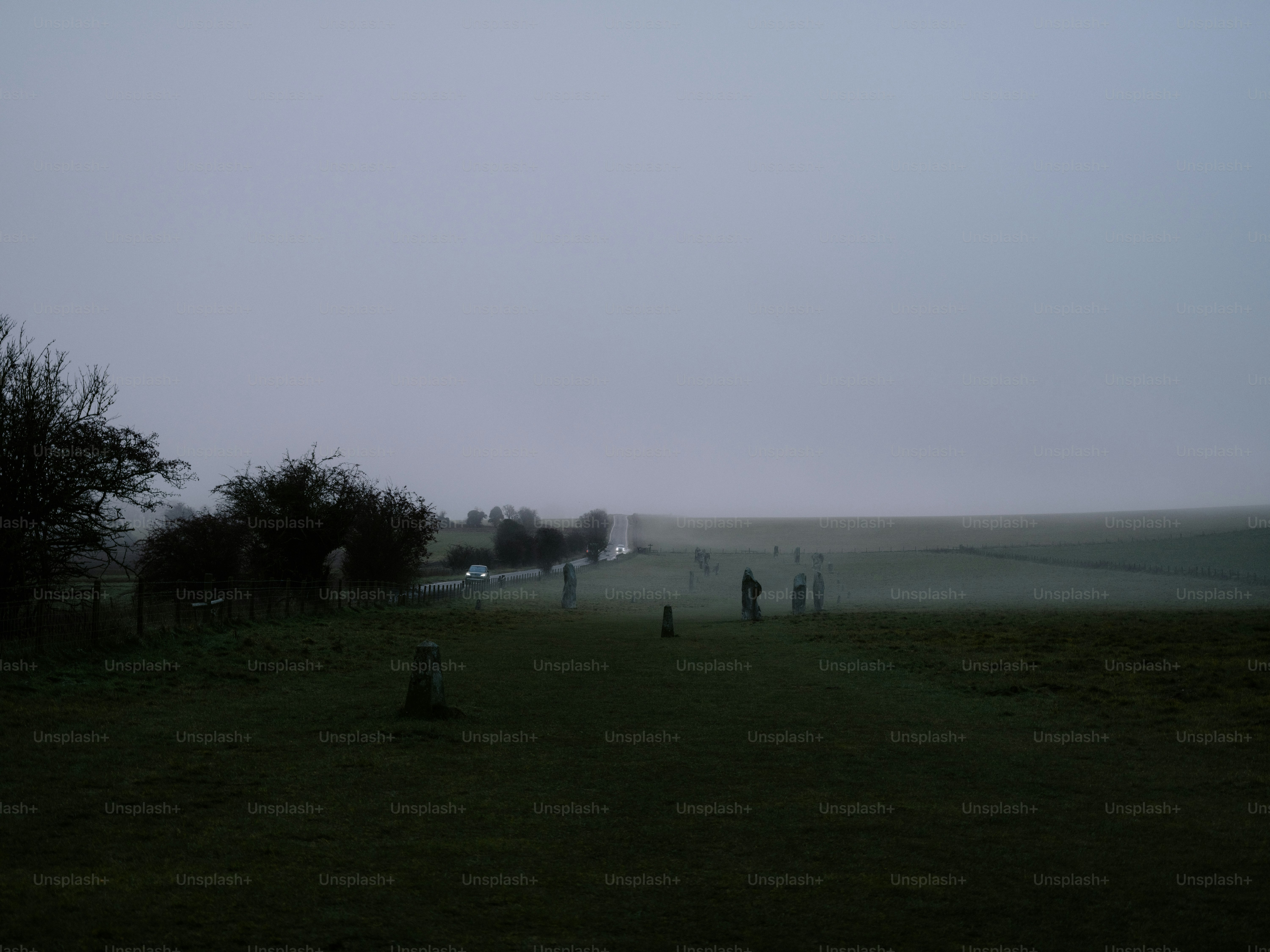 People walking on a misty field with trees