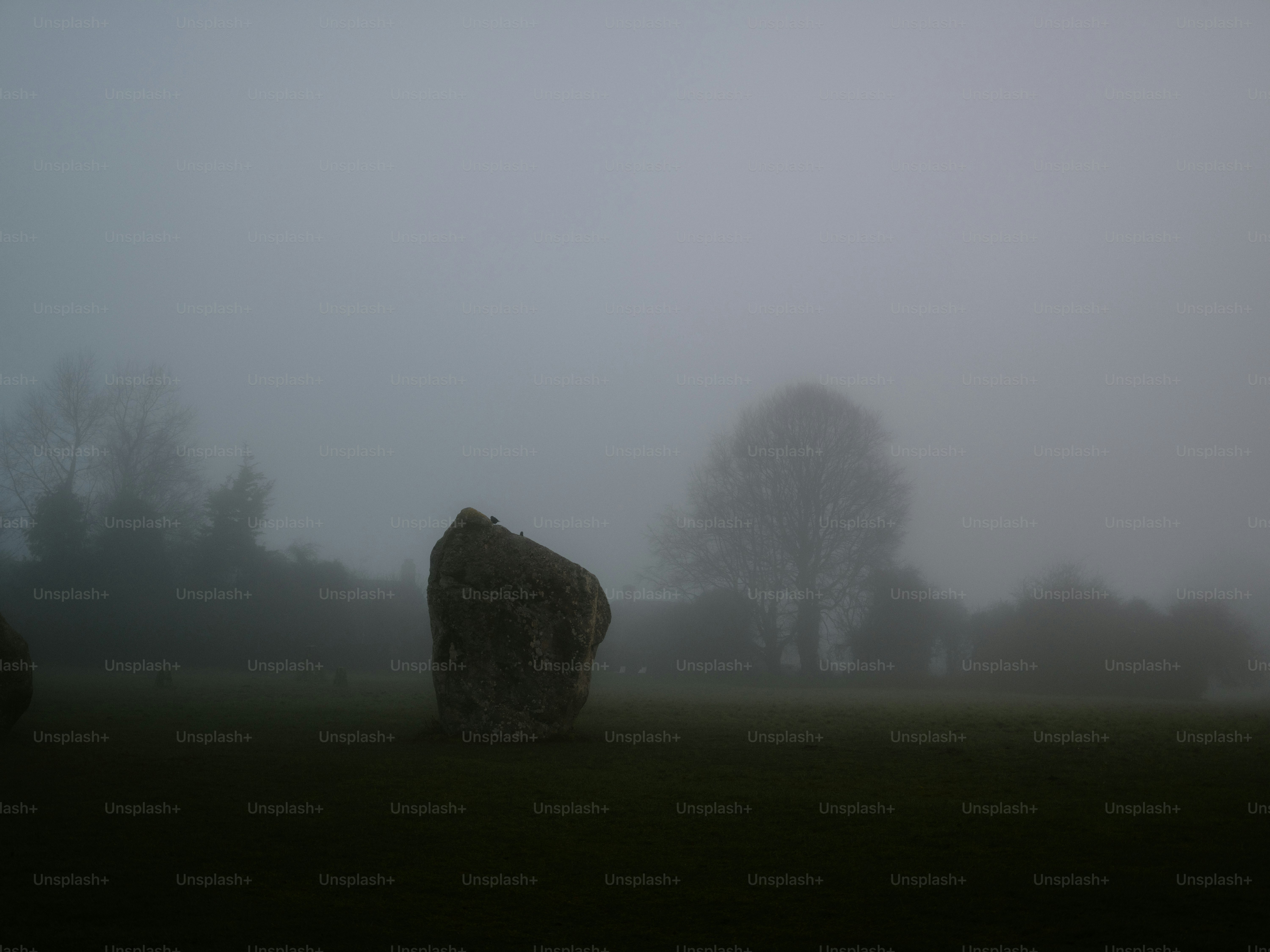 Megalithic stone standing in a foggy field