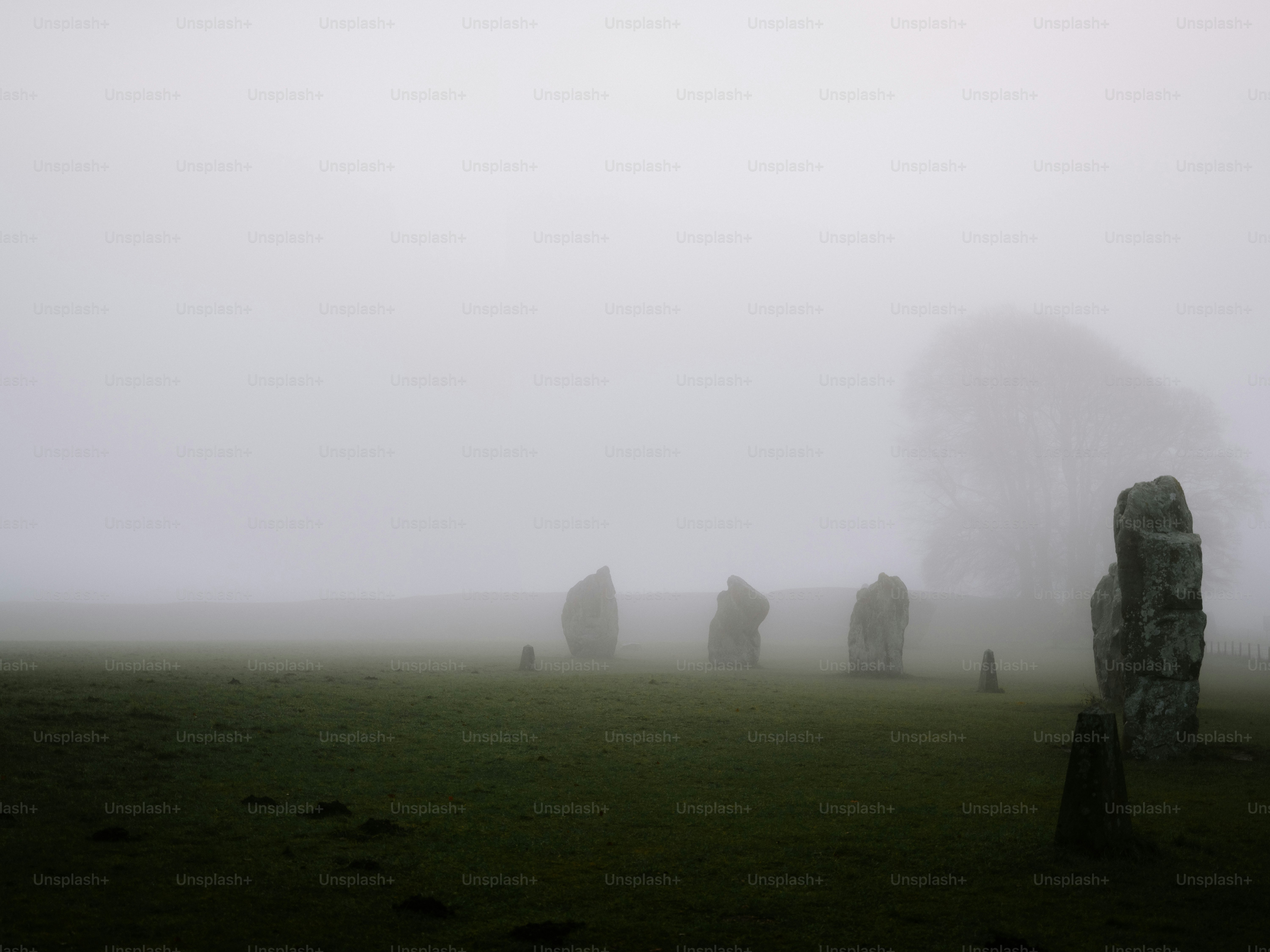 Standing stones in a foggy field under a gray sky.