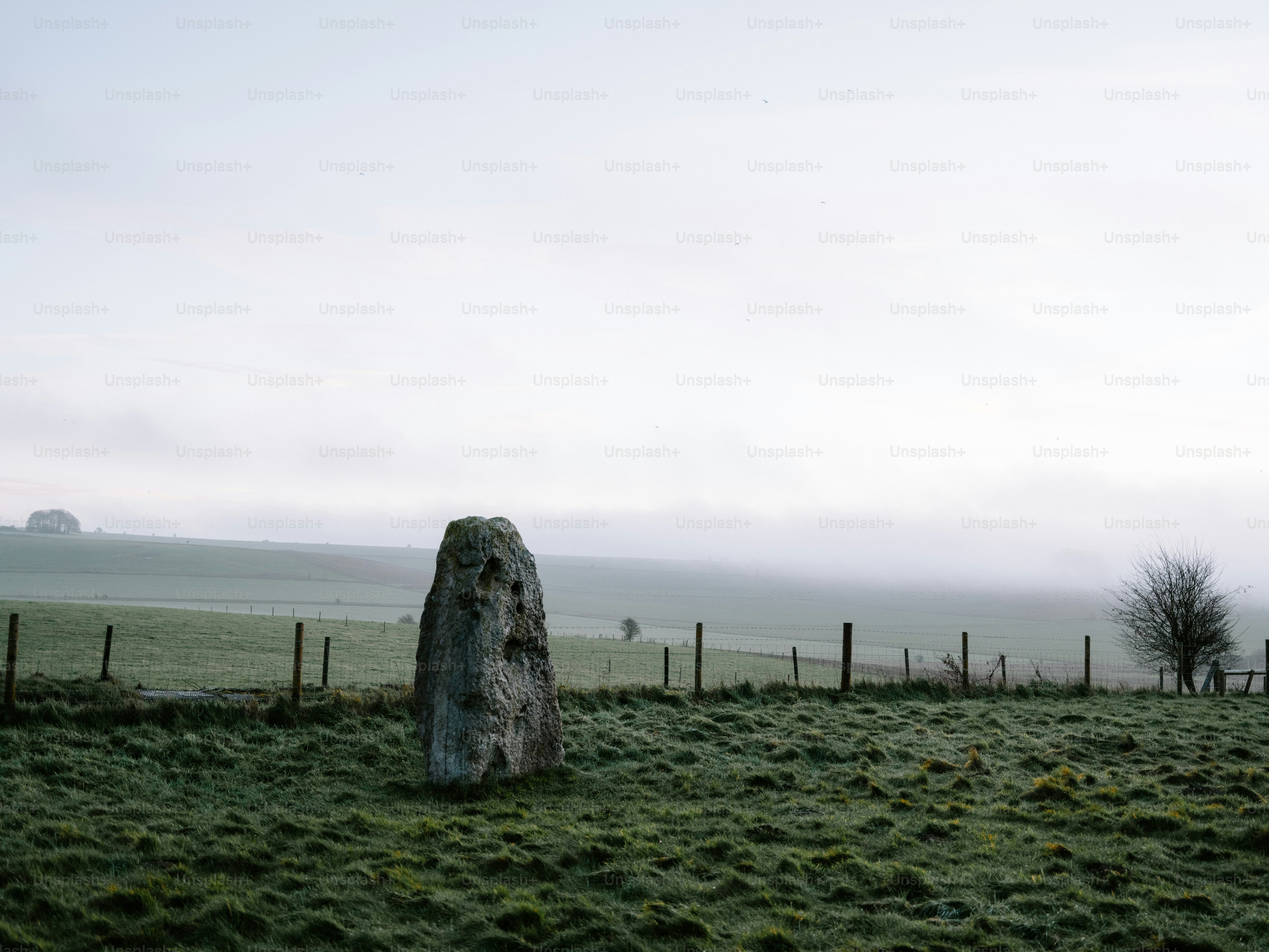 Misty field with a single standing stone. photo – Winter Image on Unsplash
