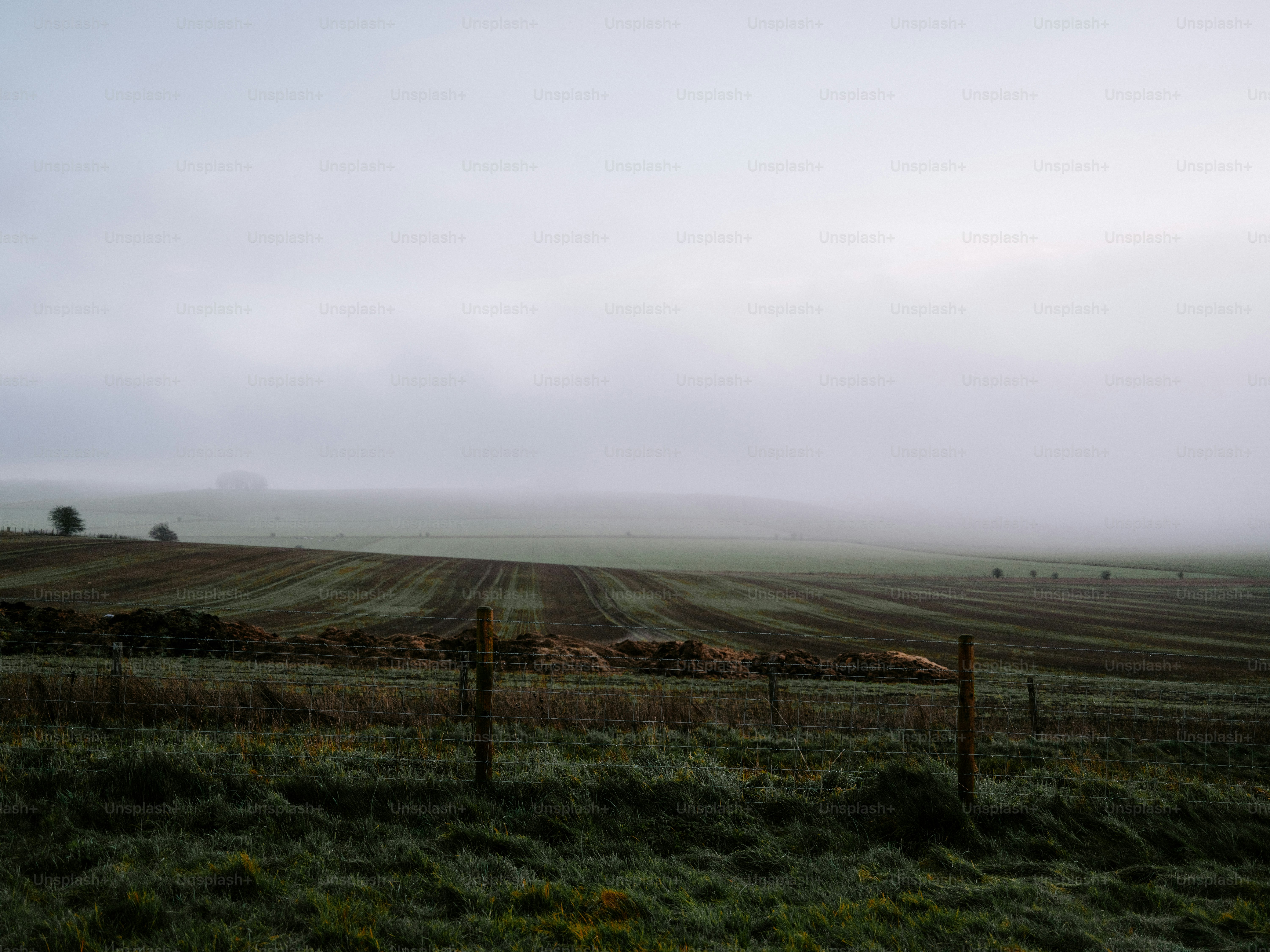 Misty morning over a harvested agricultural field.