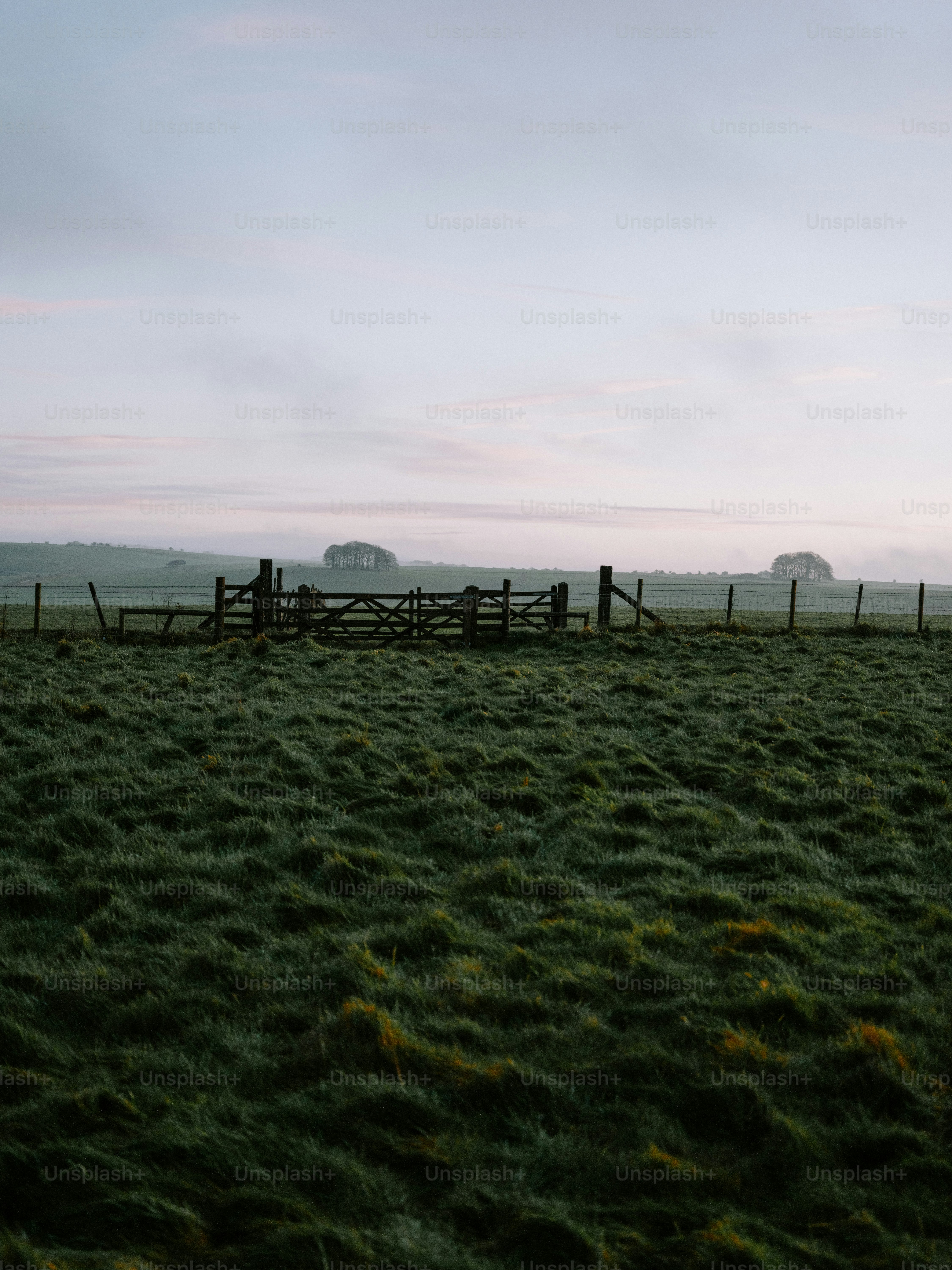 Wooden gate in a grassy field at dawn