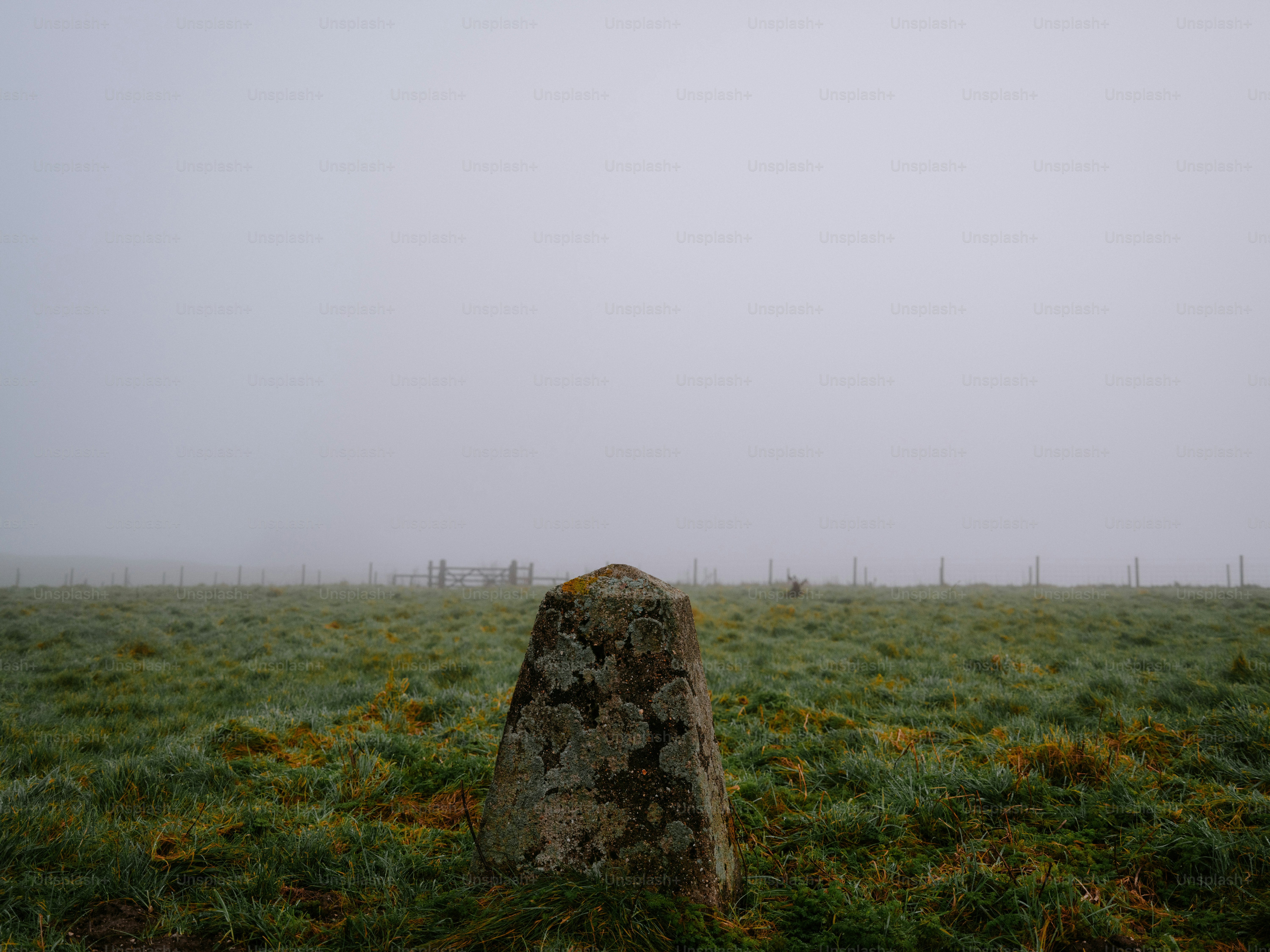 Stone marker in a foggy field with distant fence