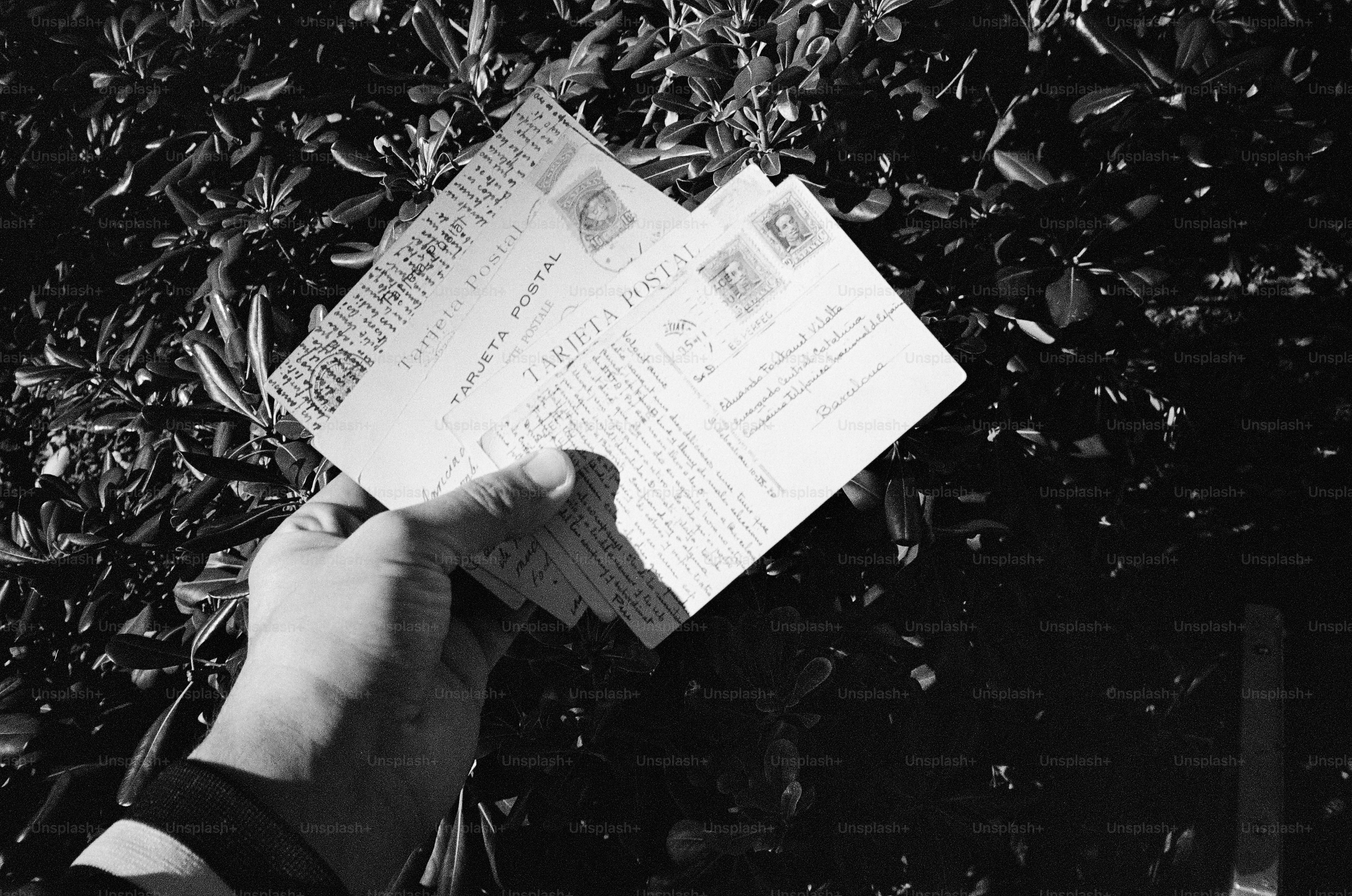 Hand holding two postcards against foliage background foliage