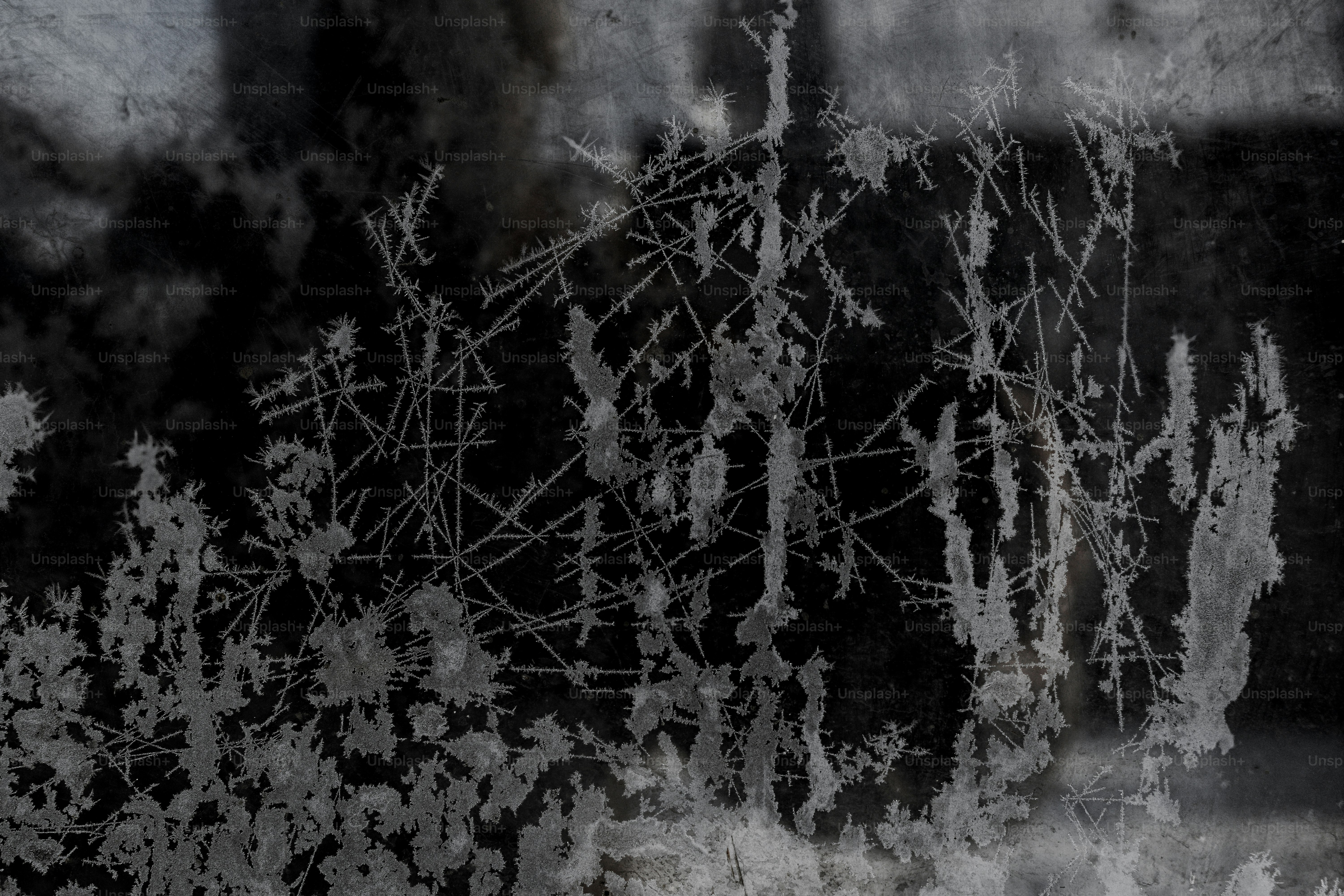 Abstract frost patterns on a dark background