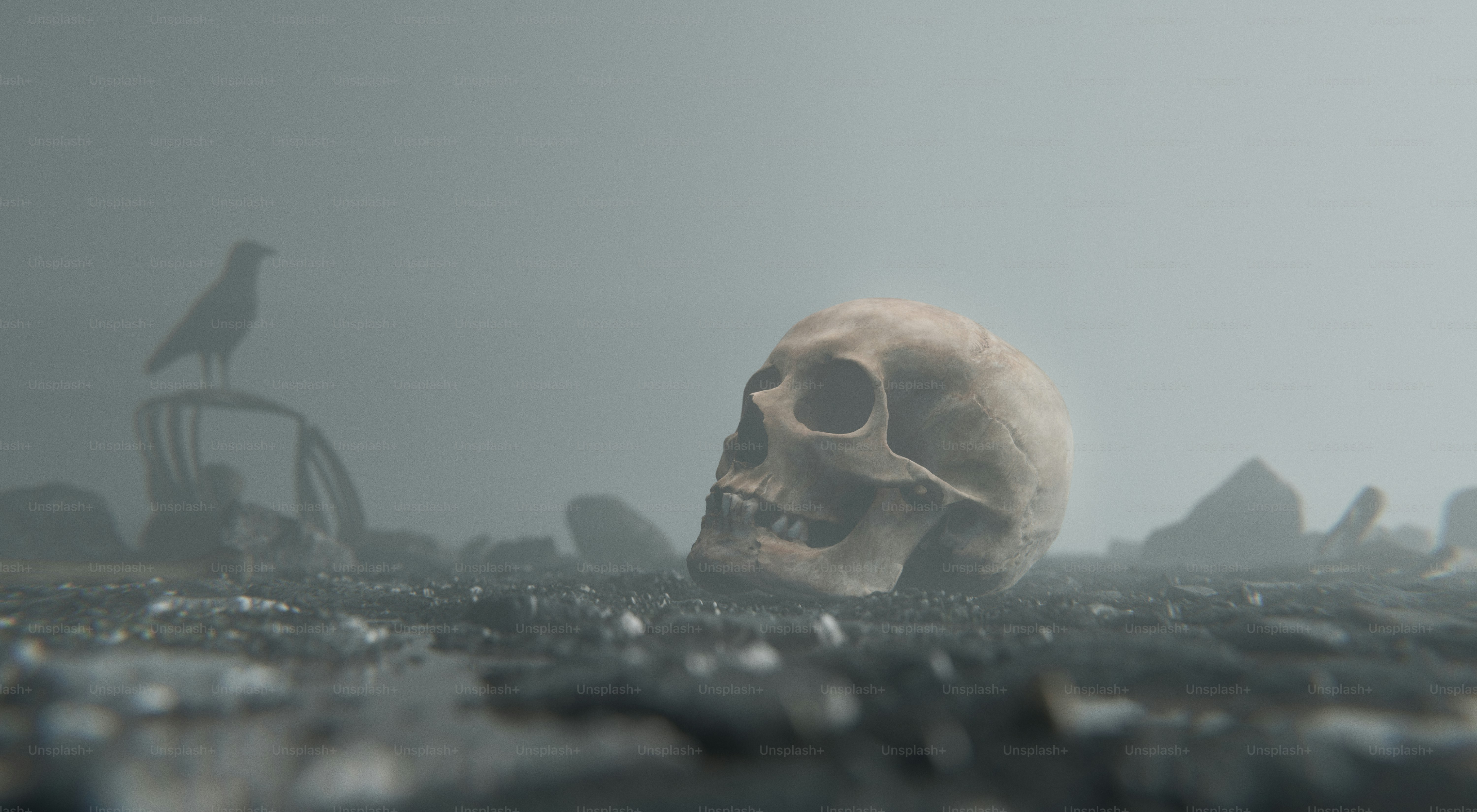 Eine Krähe, die auf Trümmern neben einem Schädel im Nebel saß