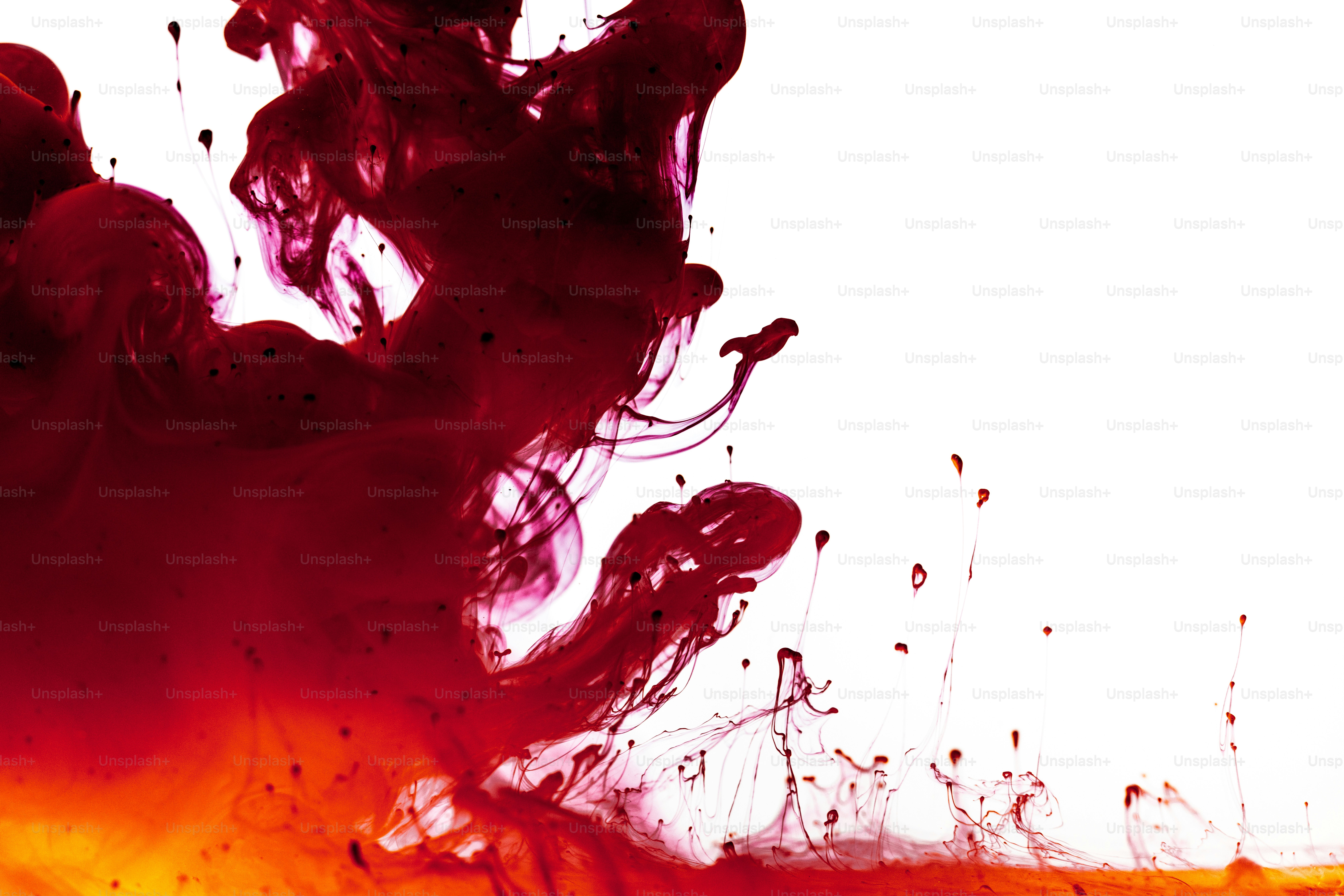 Red ink swirling in water against white background