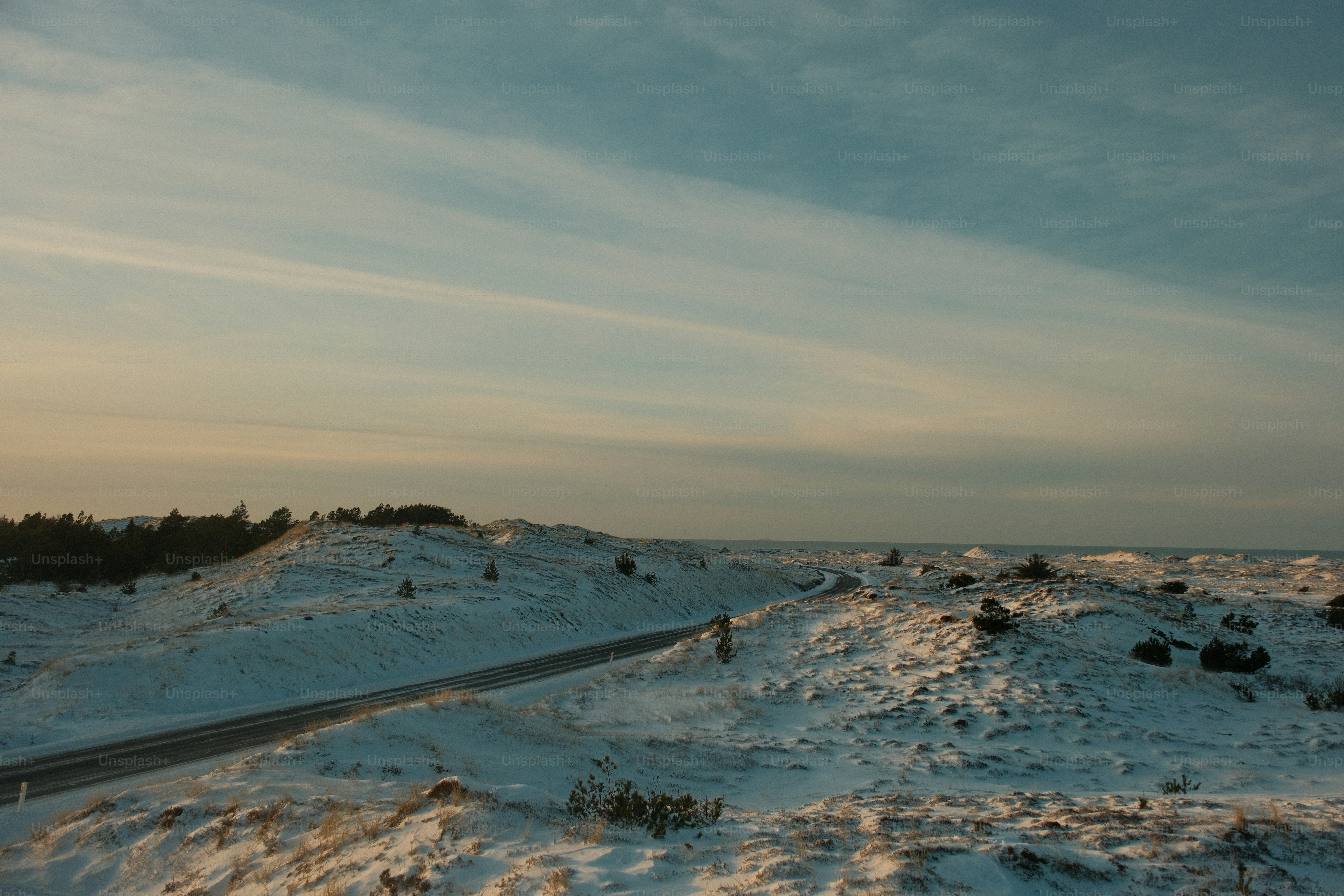 Paysage enneigé avec une route et des arbres au loin.