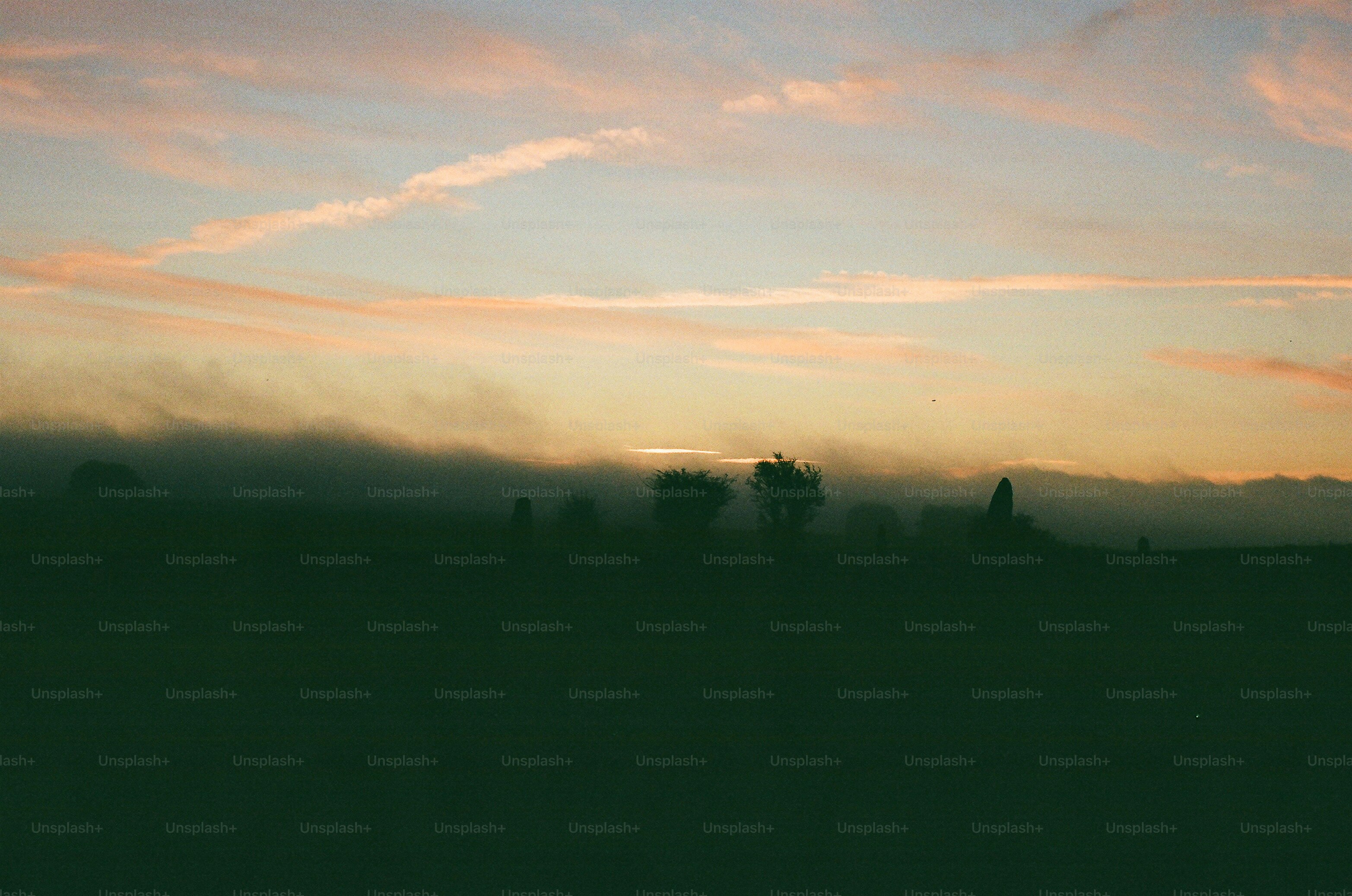 Sunrise over misty trees and fields