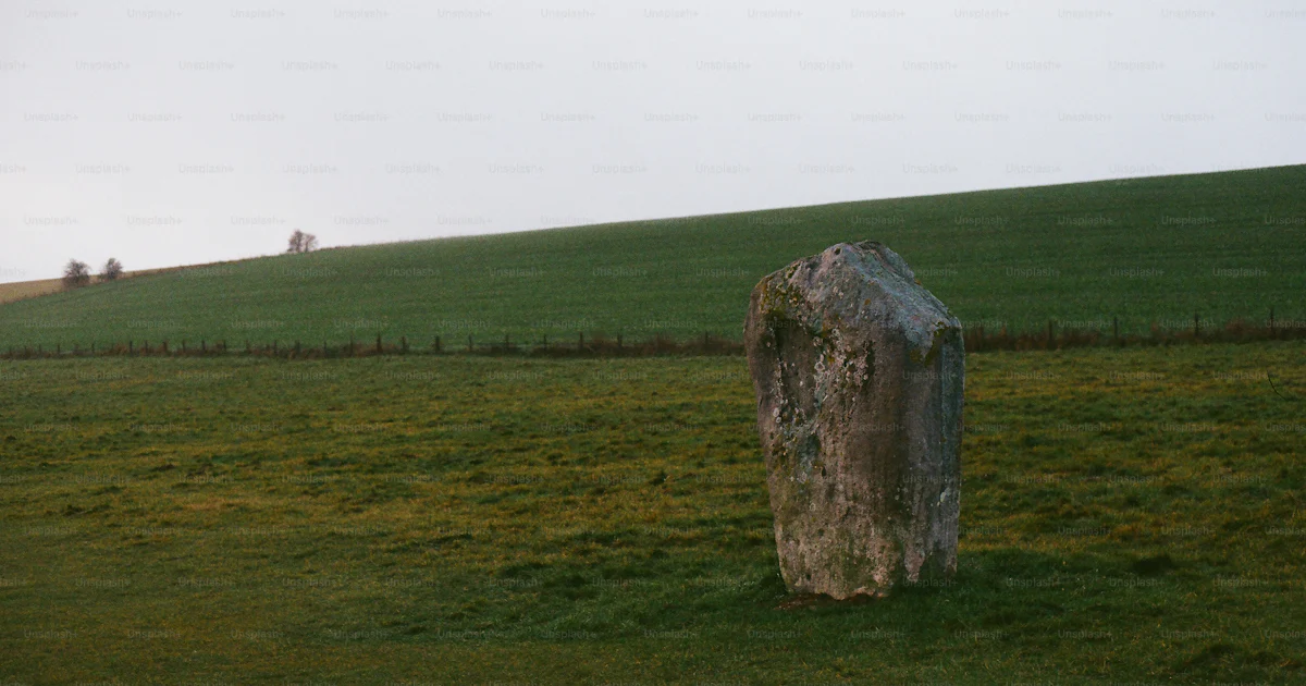 A single standing stone in a grassy field. photo – Field Image on Unsplash