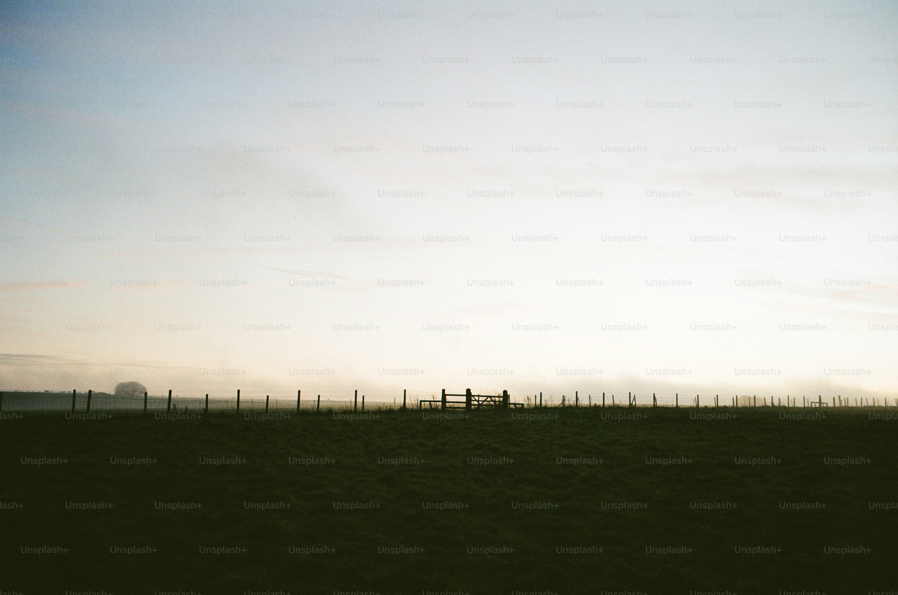 Silhouettes of people walking along a fence at dawn.