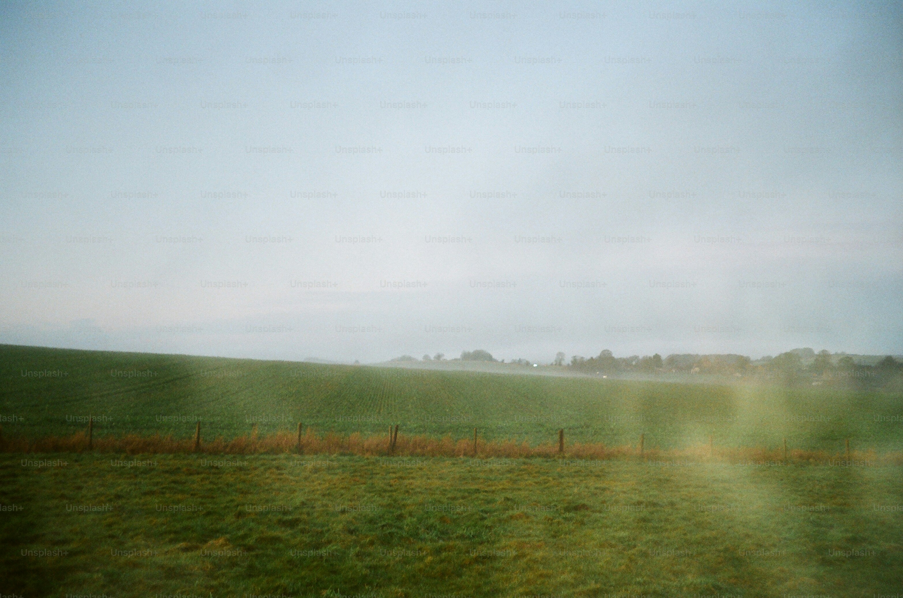 A misty green field with a fence and trees