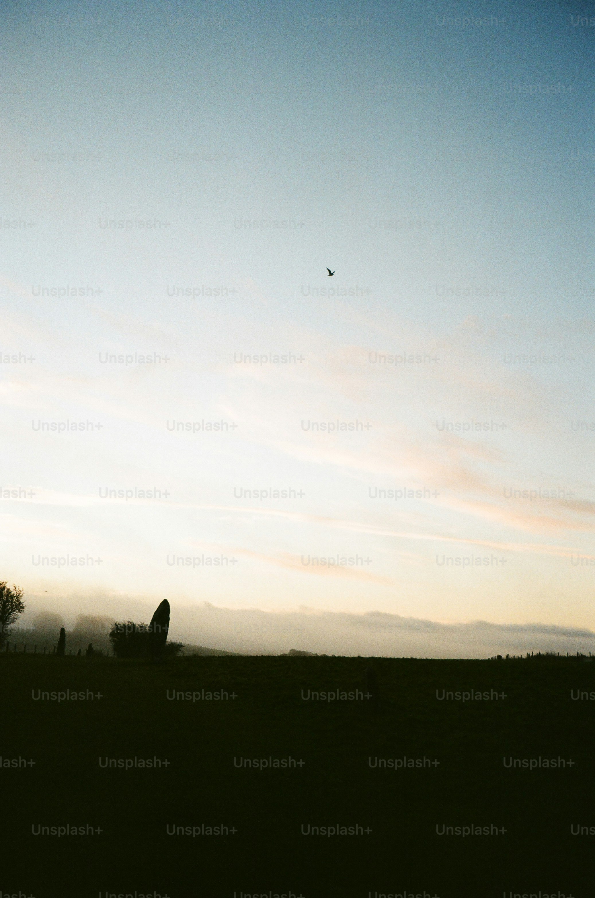 A bird flies in the sky over a misty landscape.