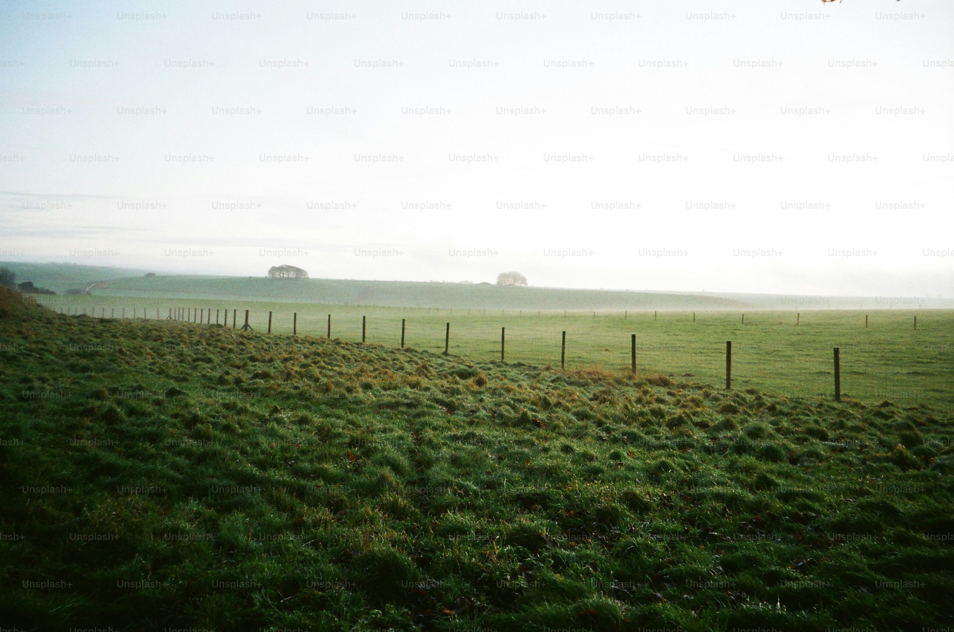 Grassy field with a fence and distant buildings