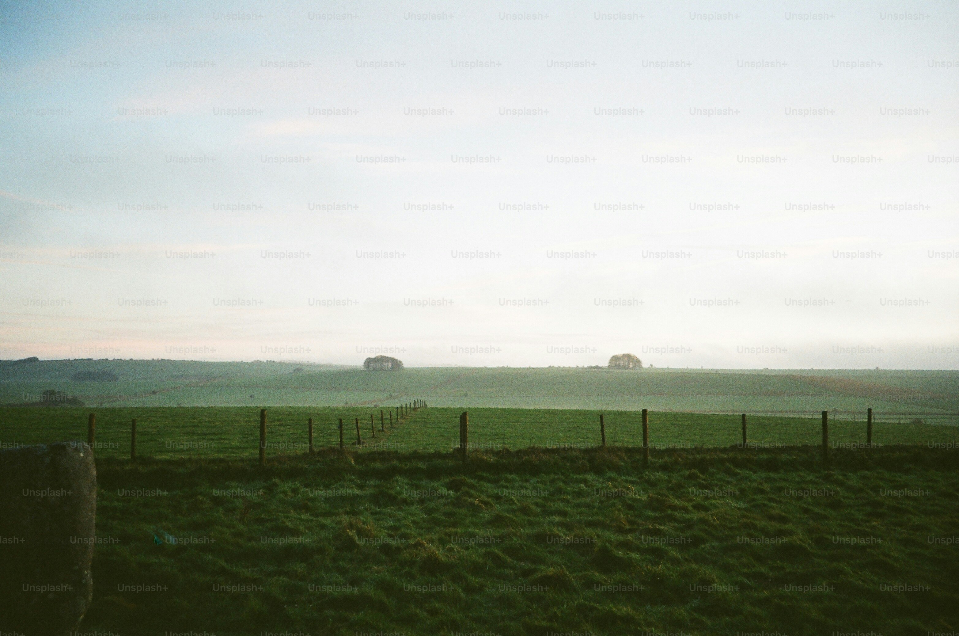 Green fields with a fence under a hazy sky