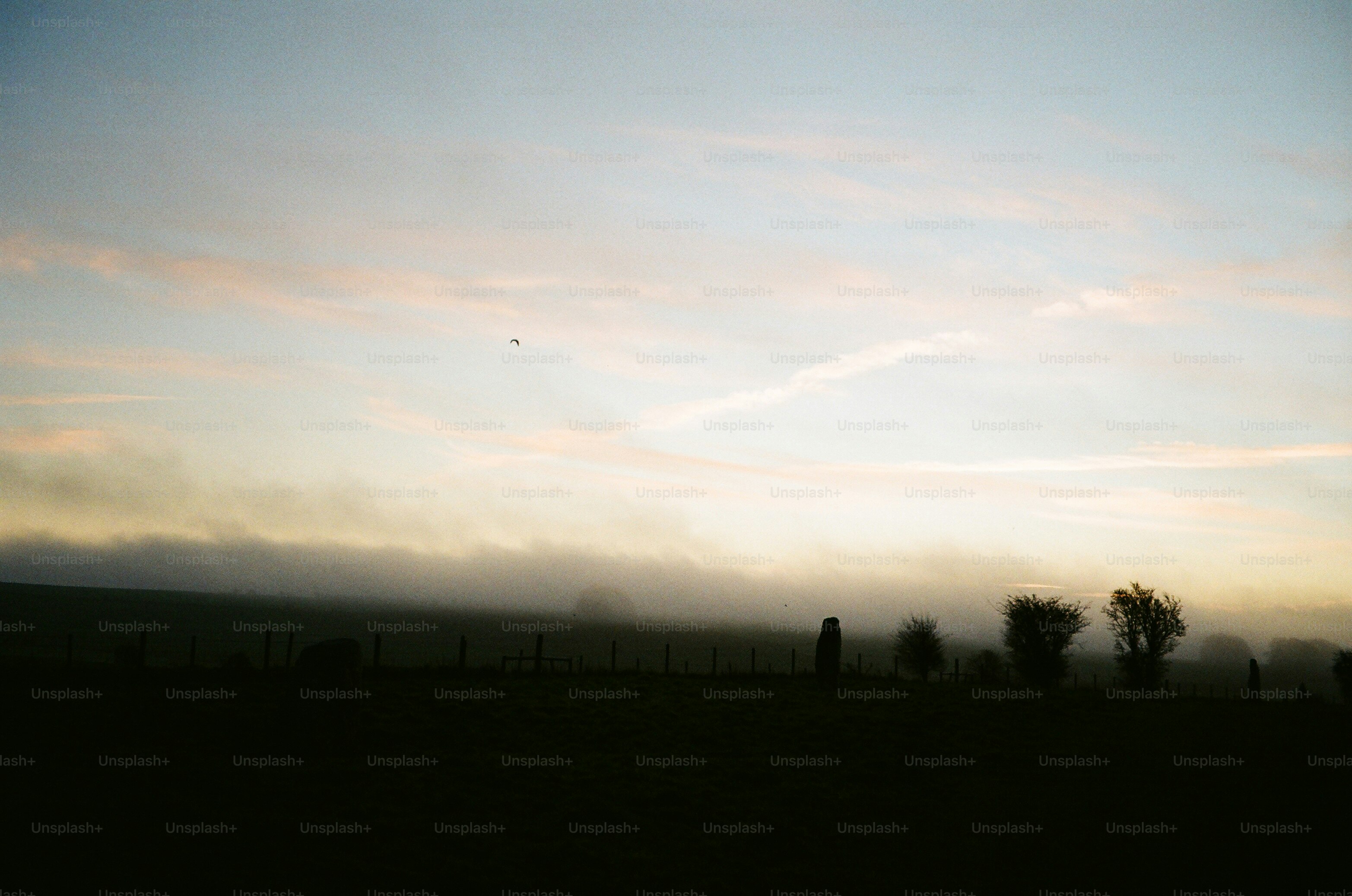 Misty sunrise over a rural landscape with trees
