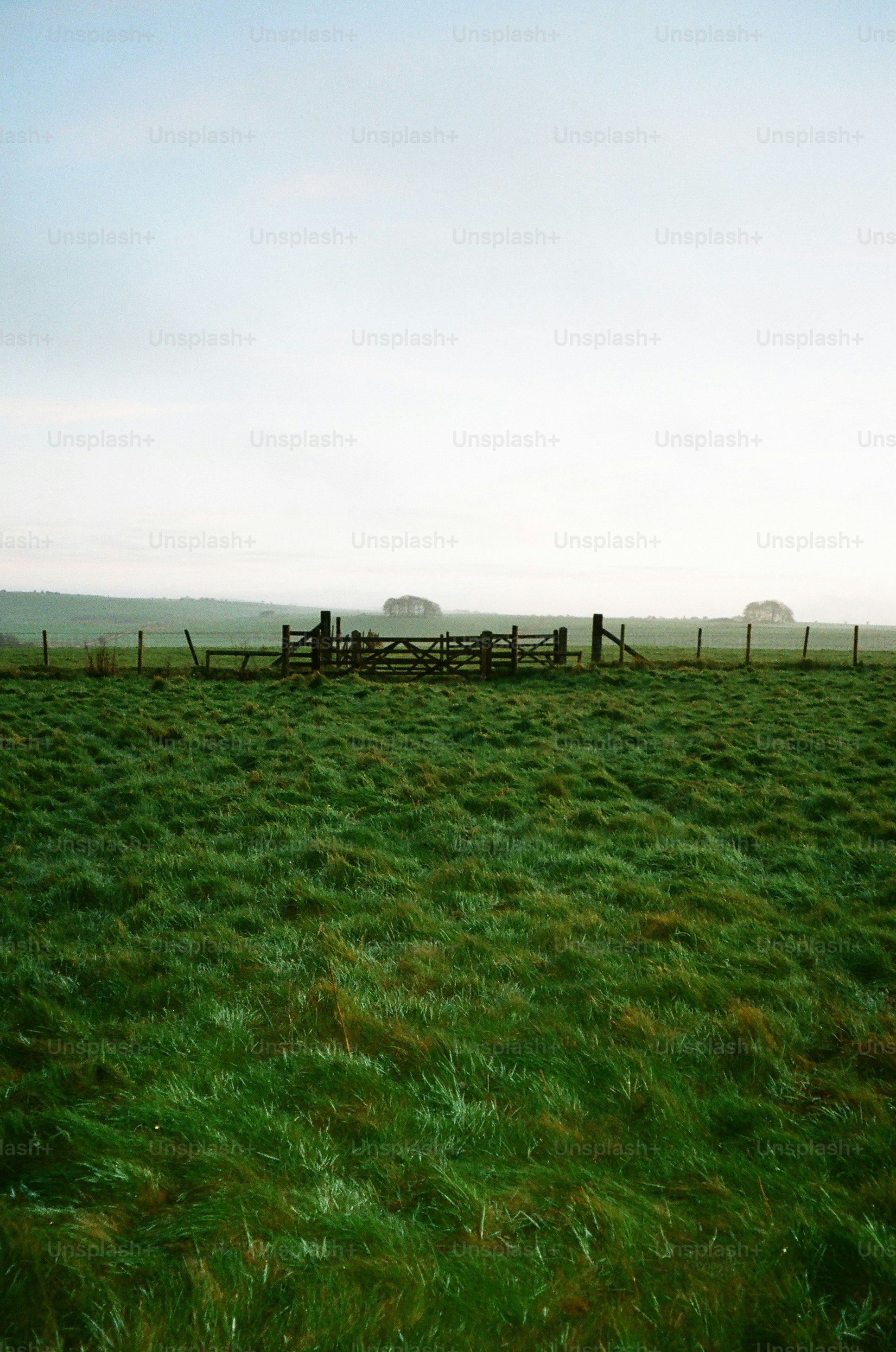 Green grassy field with wooden gates and fence