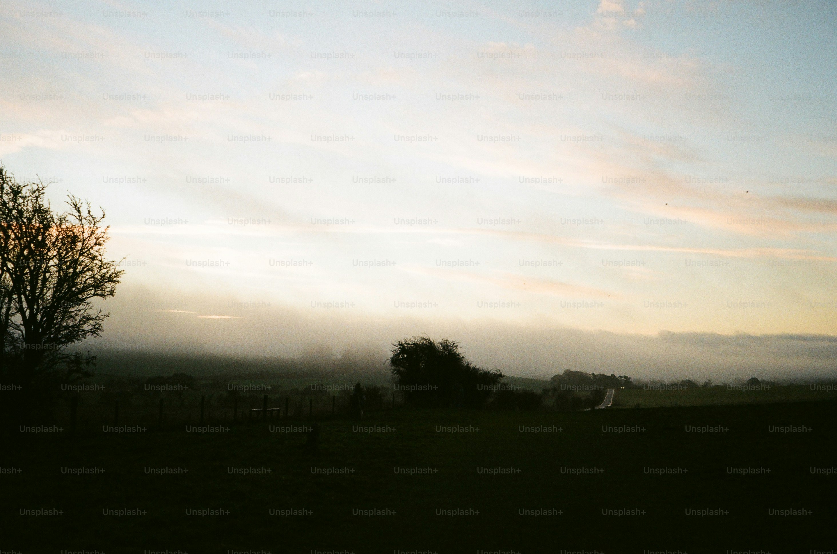 Misty landscape at sunrise with silhouetted trees