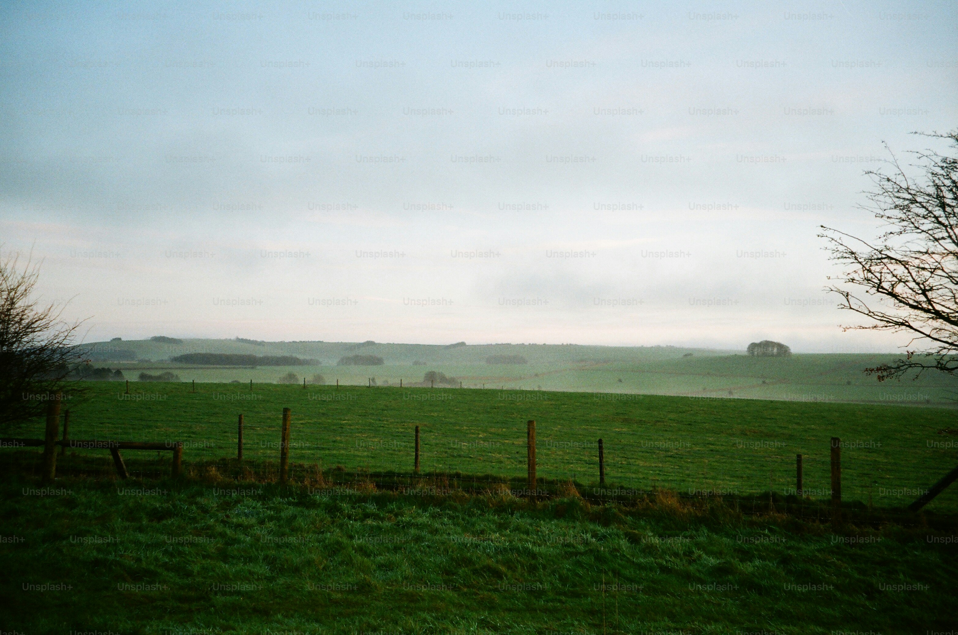 A misty green field with a fence and distant trees.