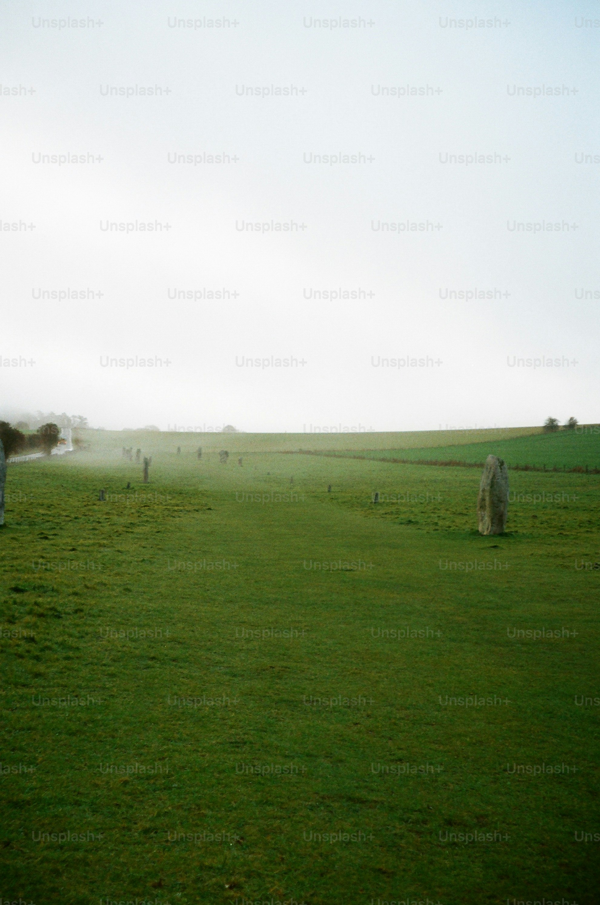Misty field with ancient standing stones in a row.