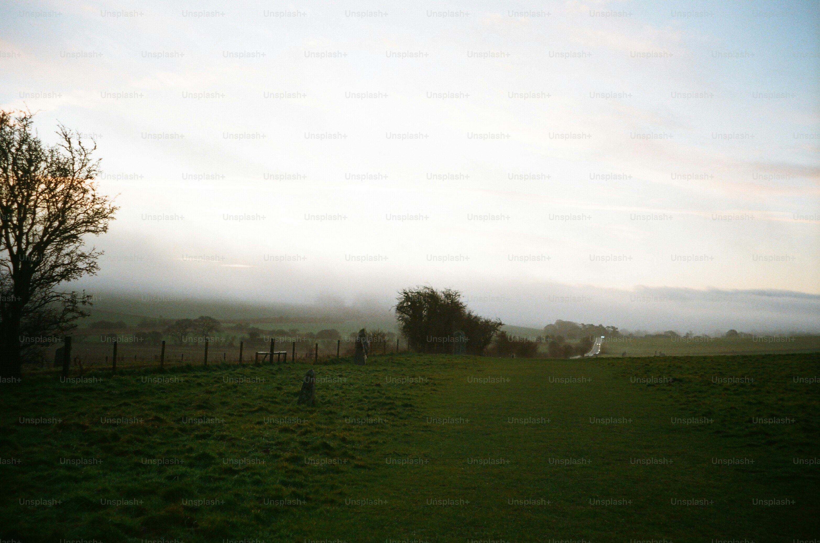 Misty morning over a green grassy field