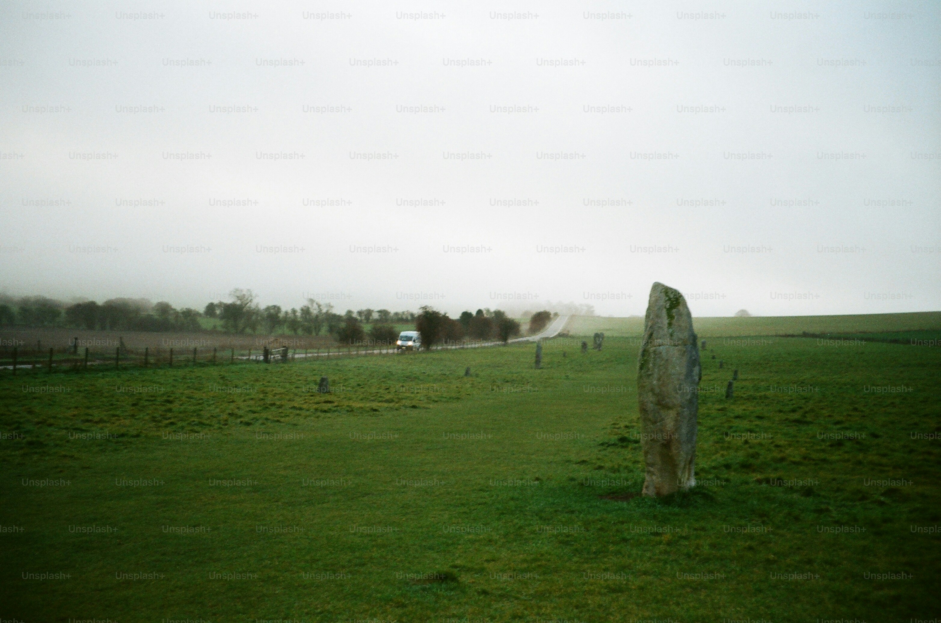 Standing stone in a misty green field with trees