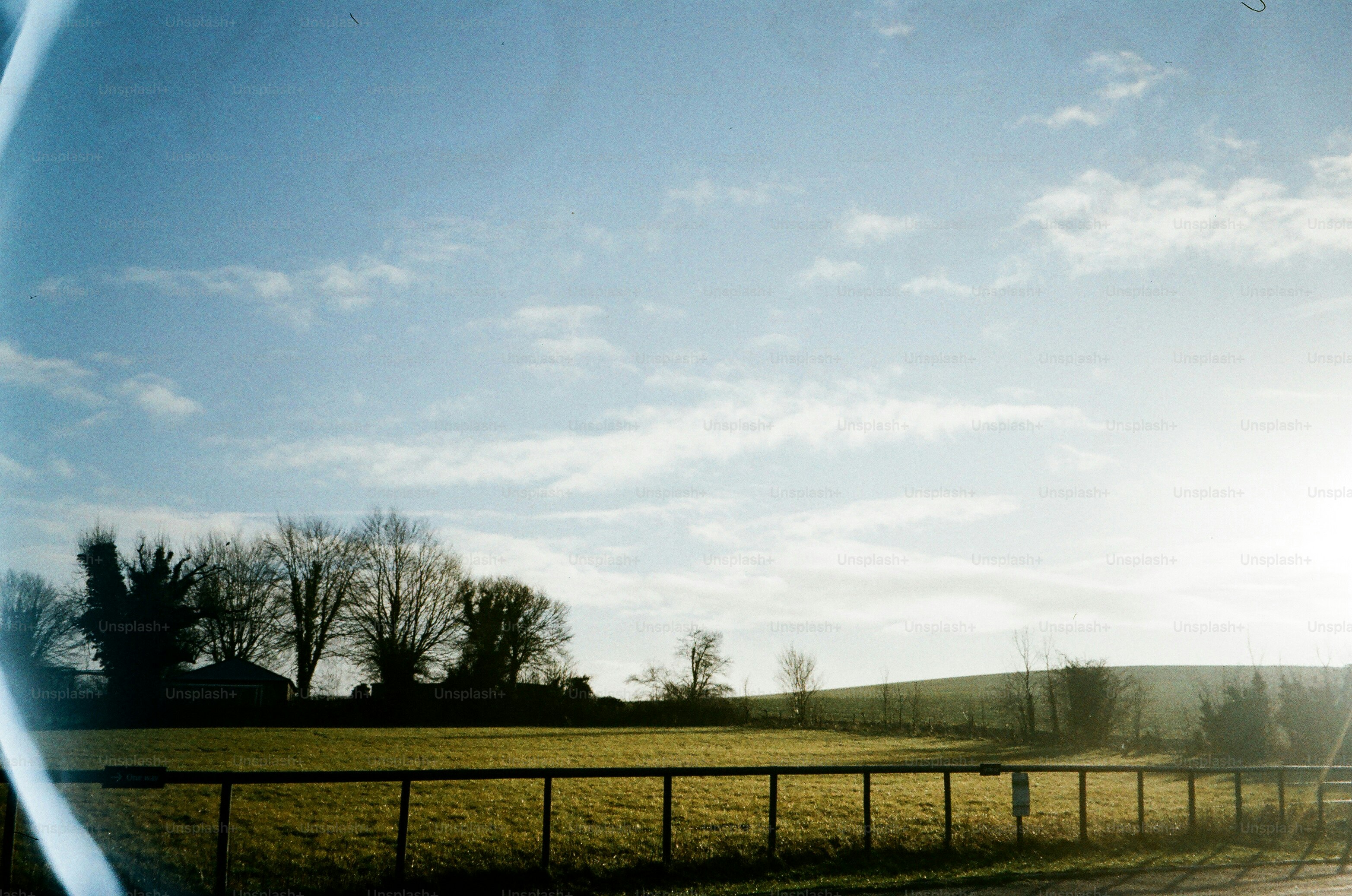 Bare trees and grassy field under a cloudy sky