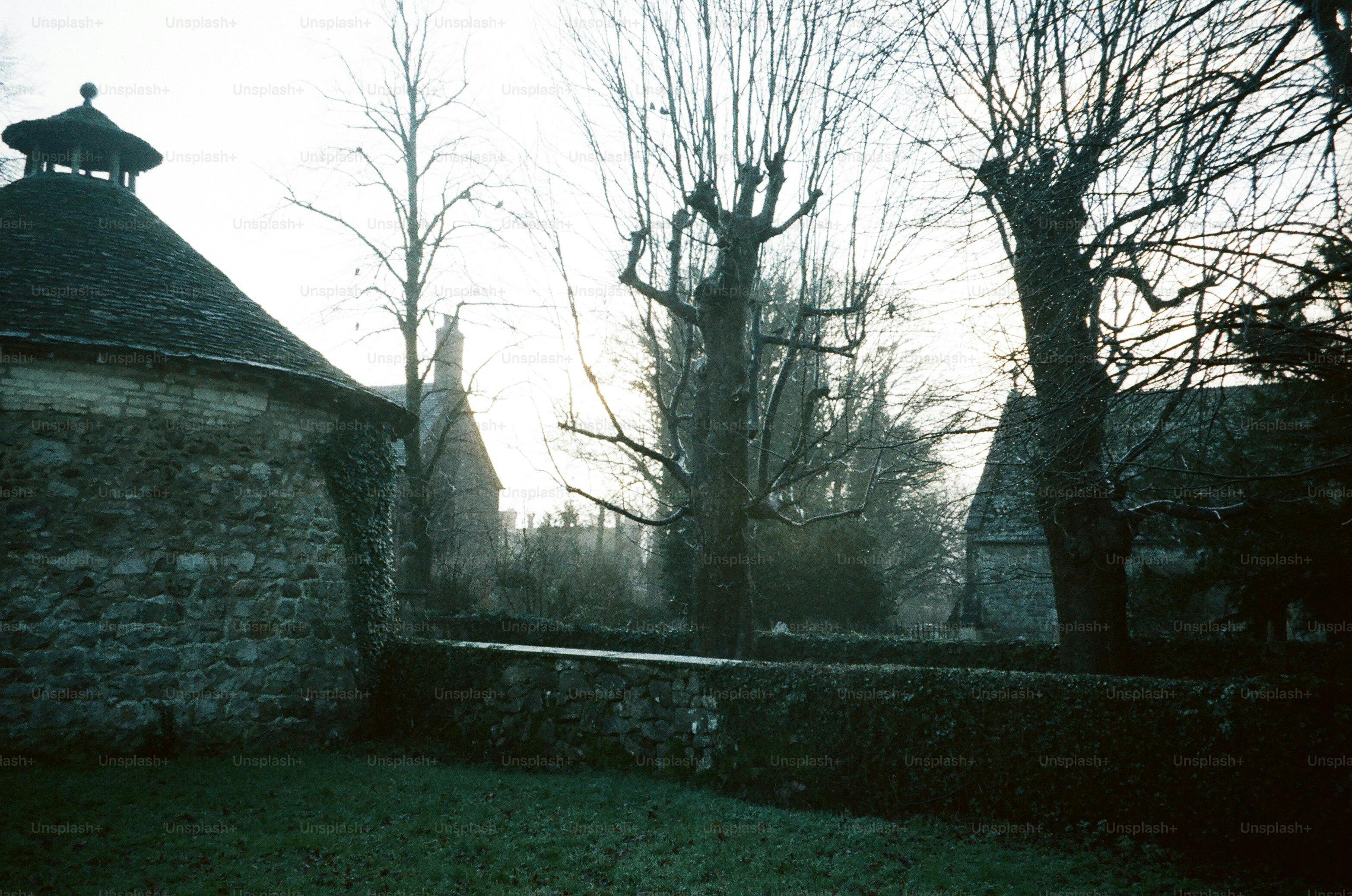 Stone building and bare trees on a misty day.