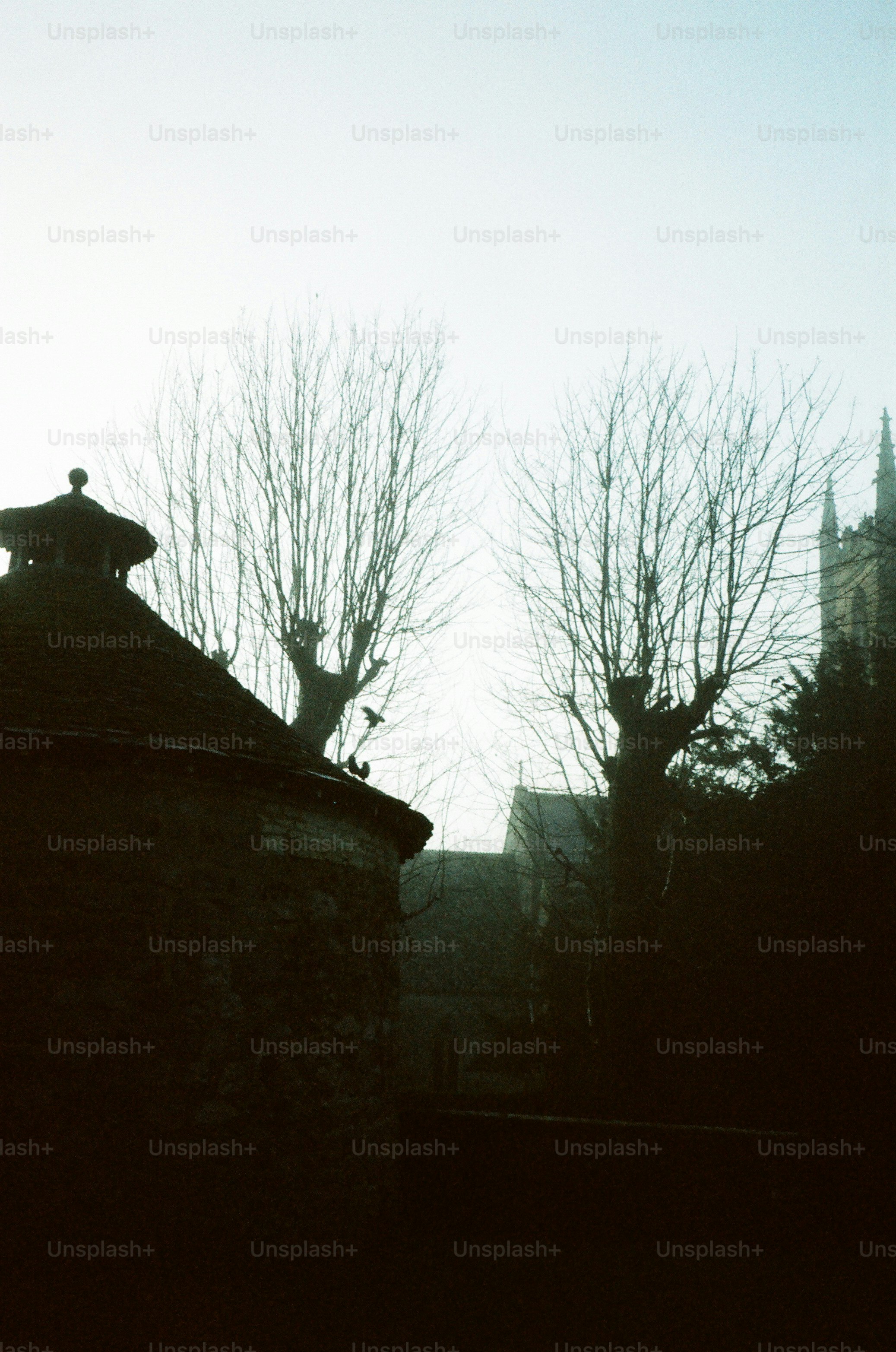 Árvores nuas se recortavam contra um céu enevoado.