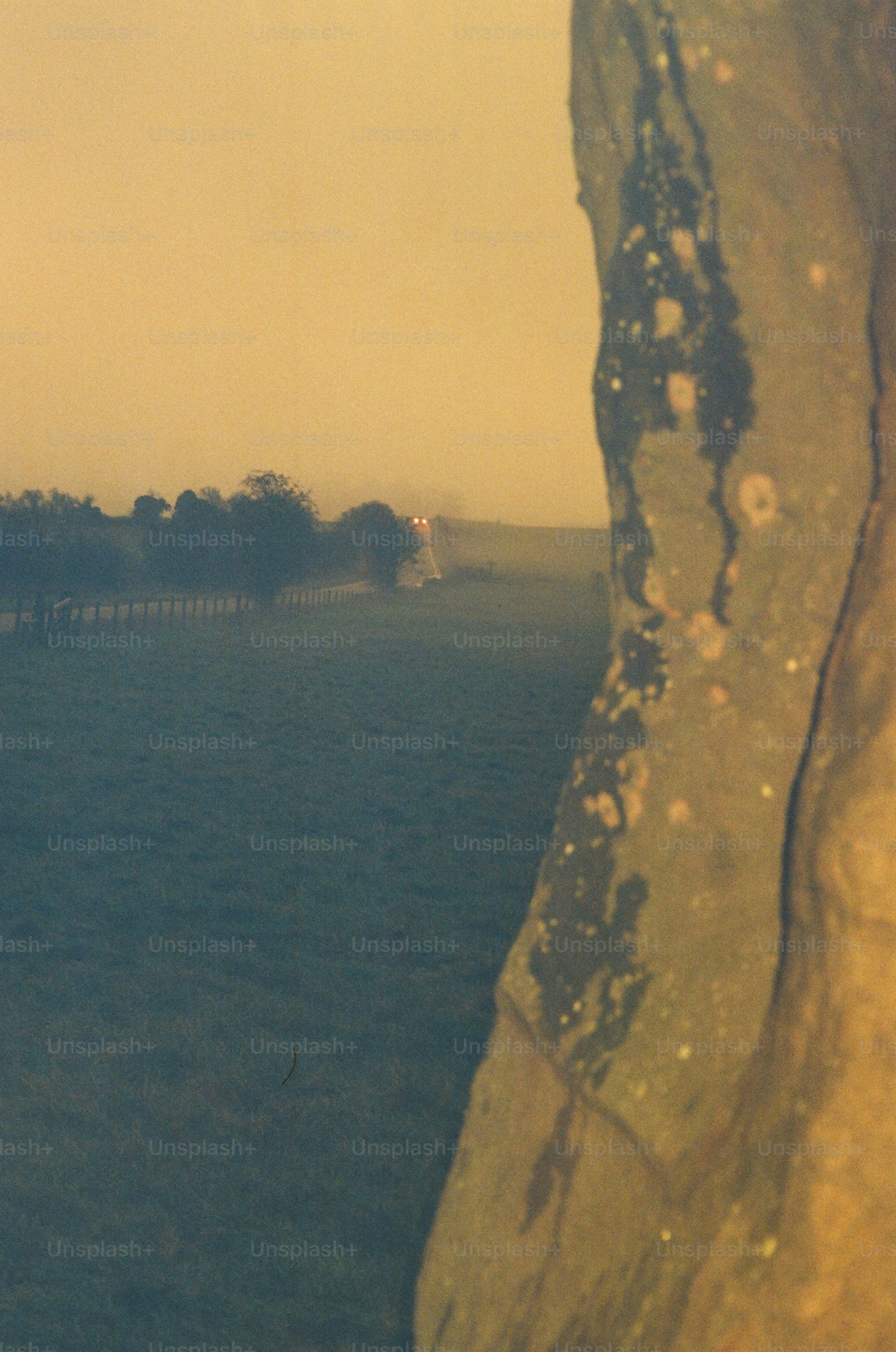 Foggy field with trees and a large rock