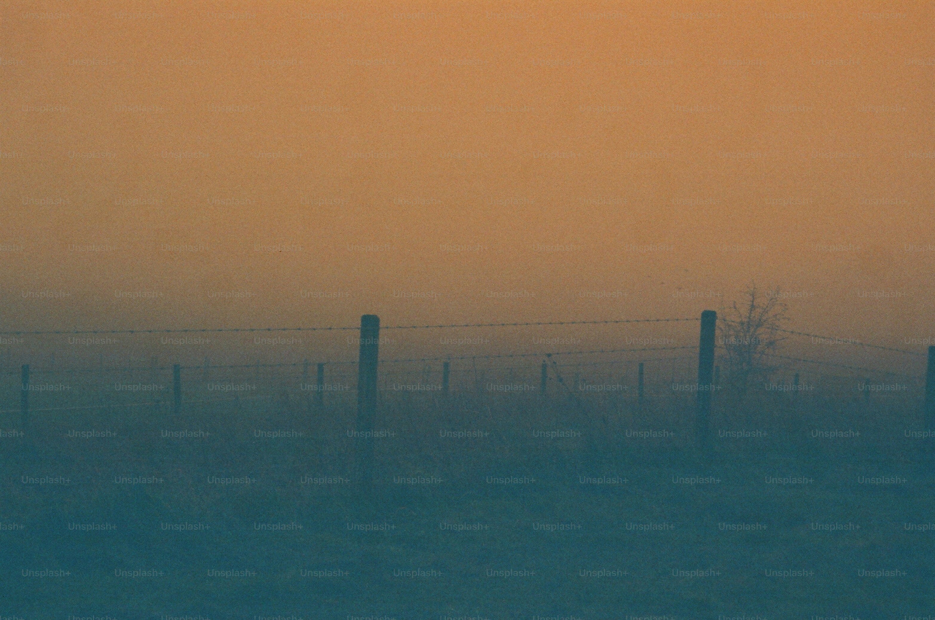 Fence posts in a foggy field at sunrise.