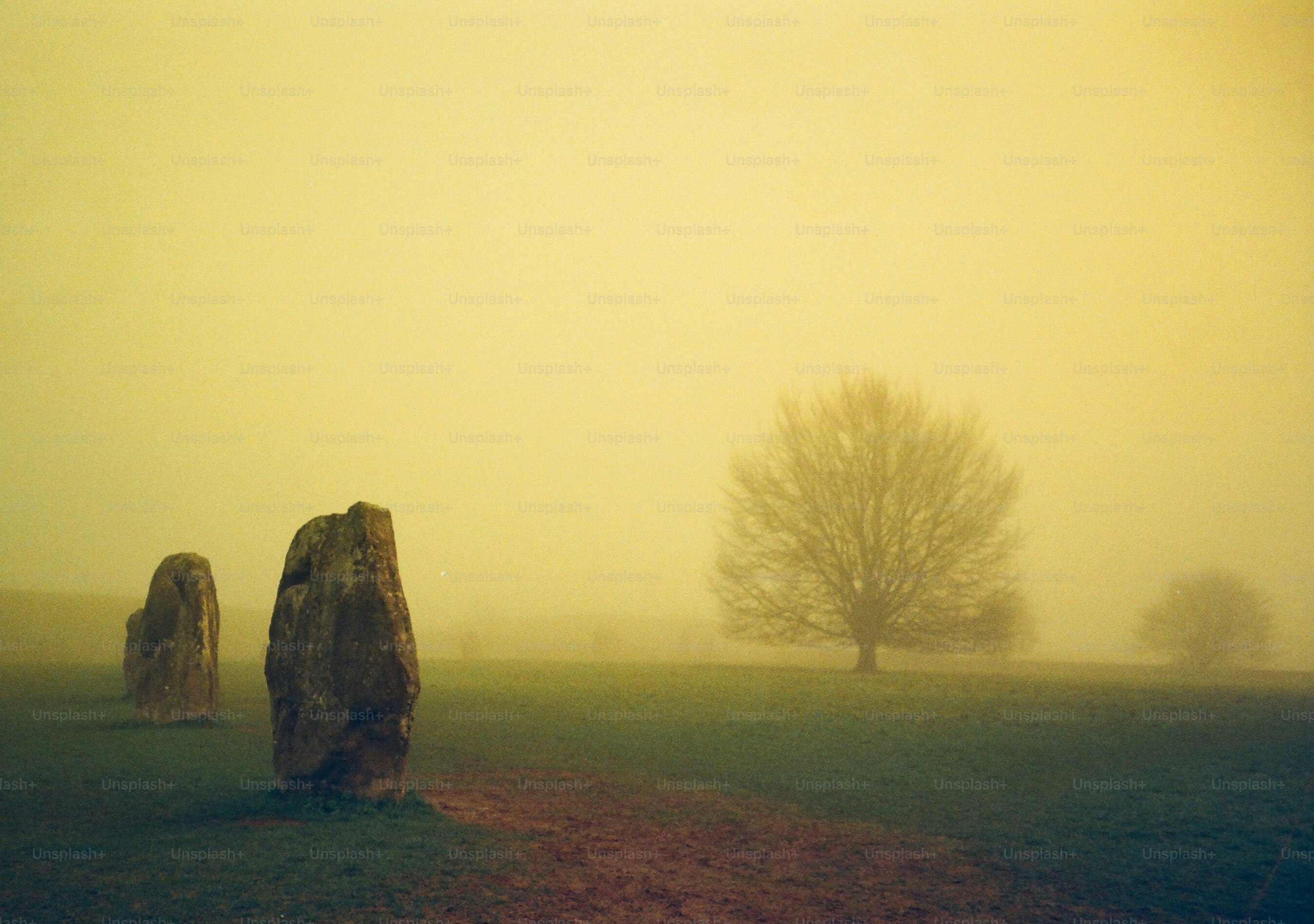 Misty field with ancient standing stones and bare tree