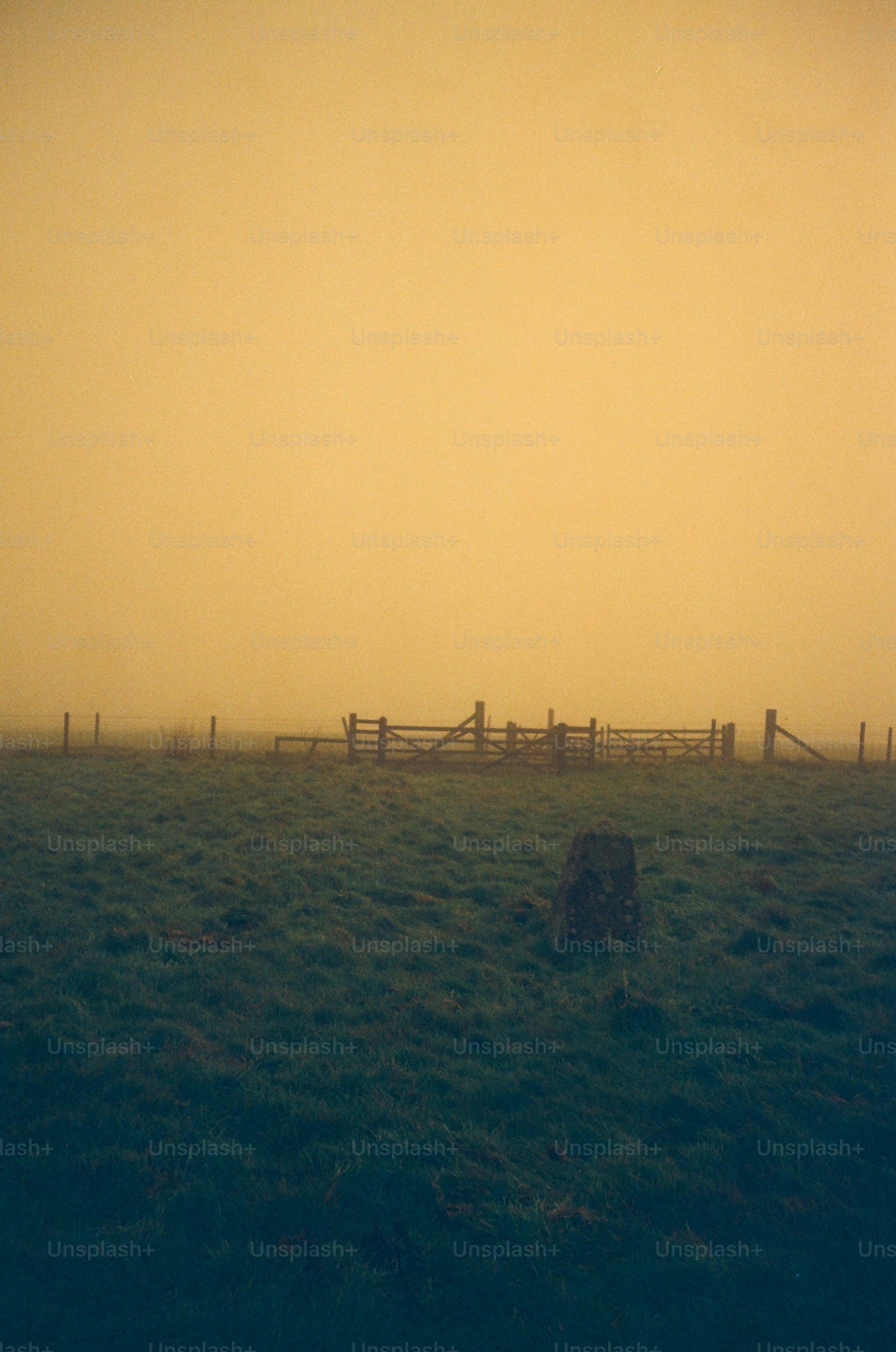 Misty field with wooden fence and tree stump