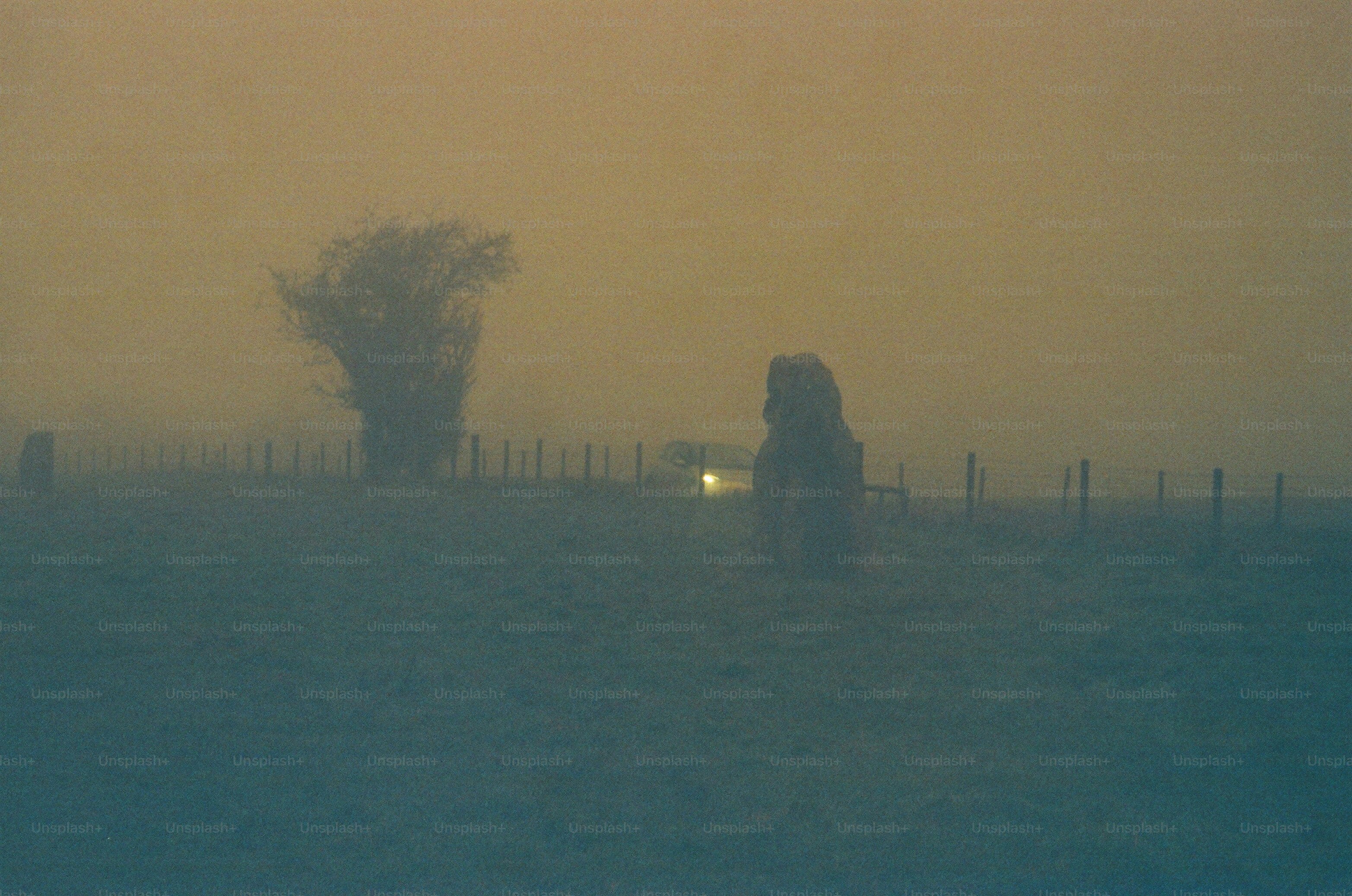 A foggy field with a distant light and trees.