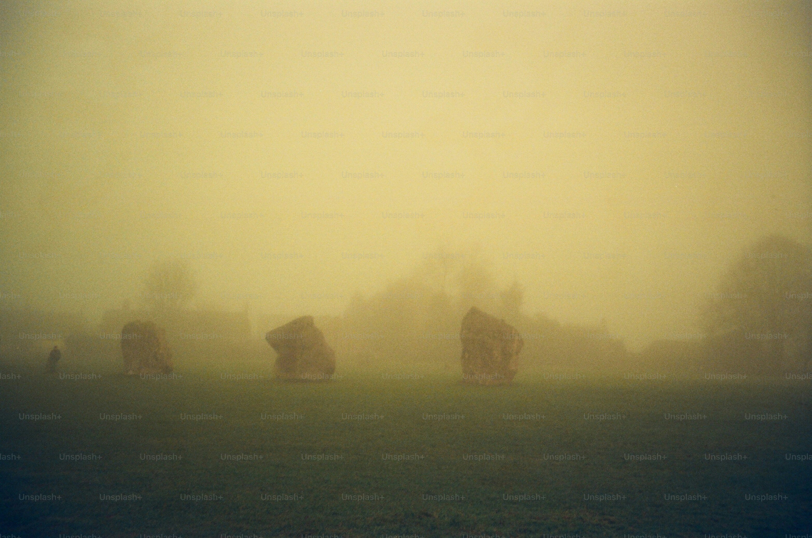 Misty field with standing stones and trees