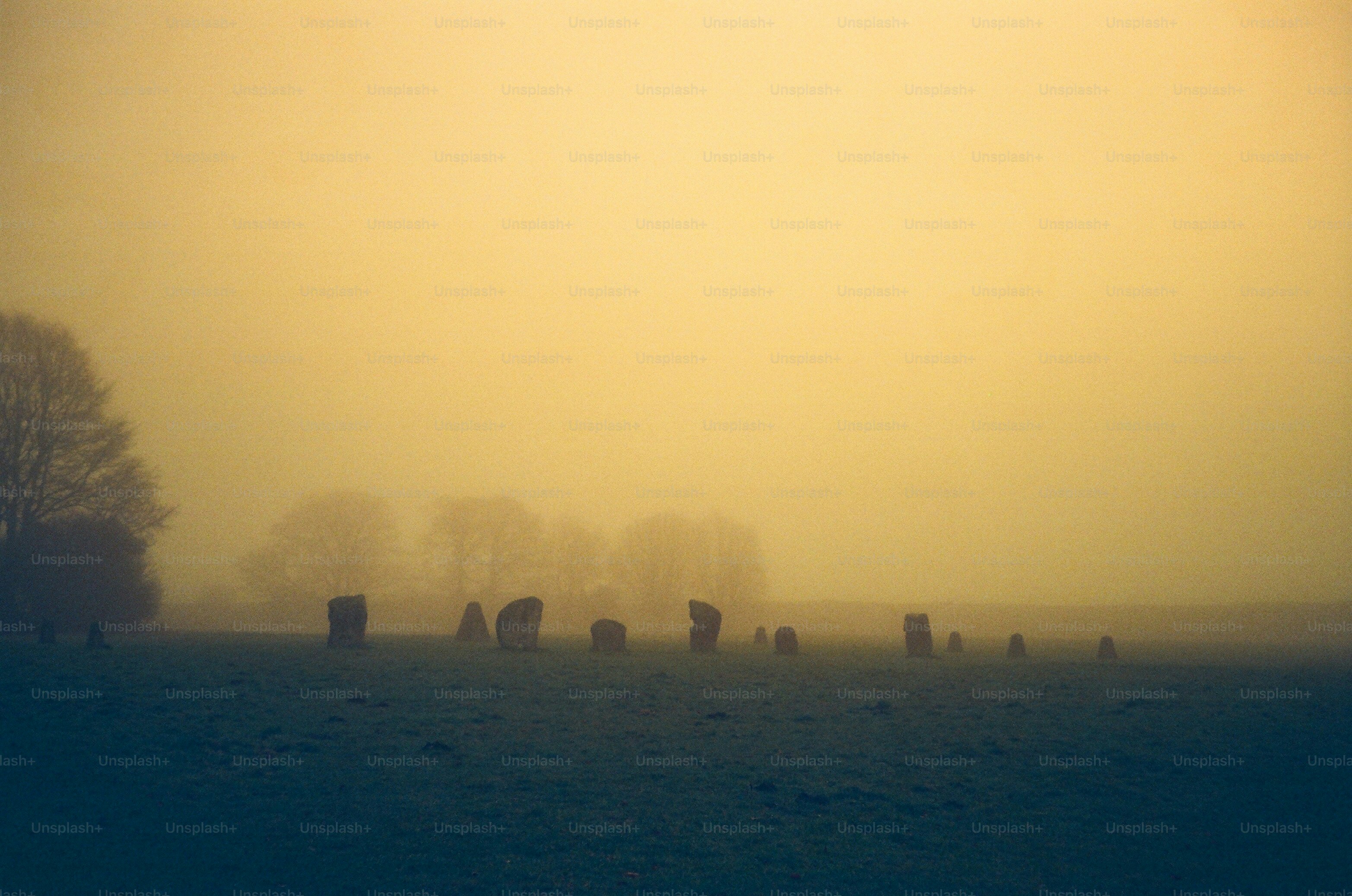 Standing stones in a foggy field at sunrise.