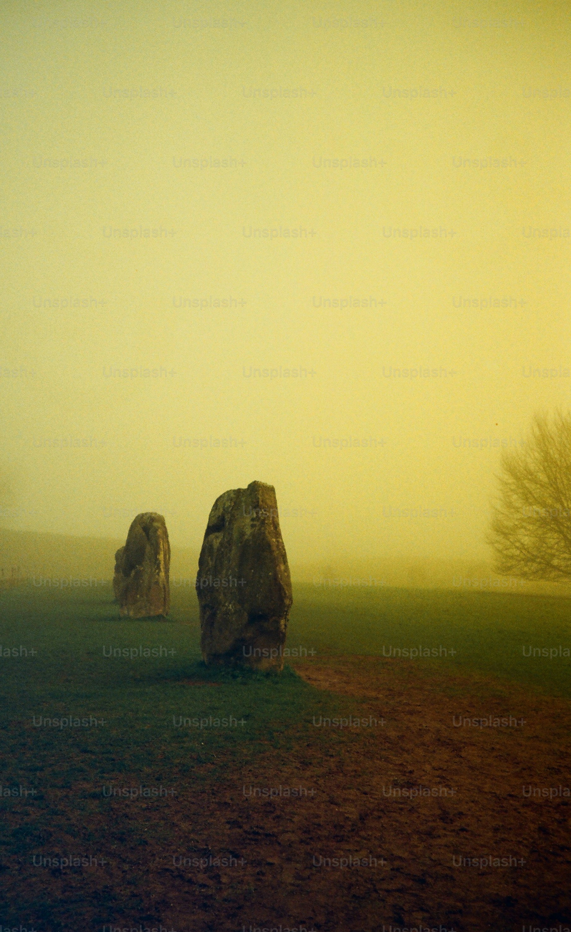 Misty field with ancient standing stones and a bare tree.