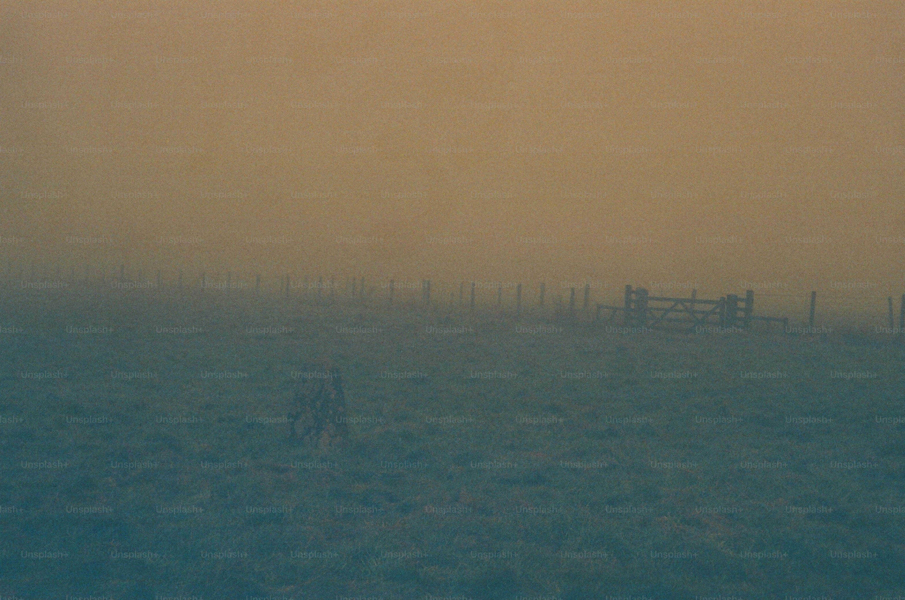 Misty field with a fence and gate at dawn
