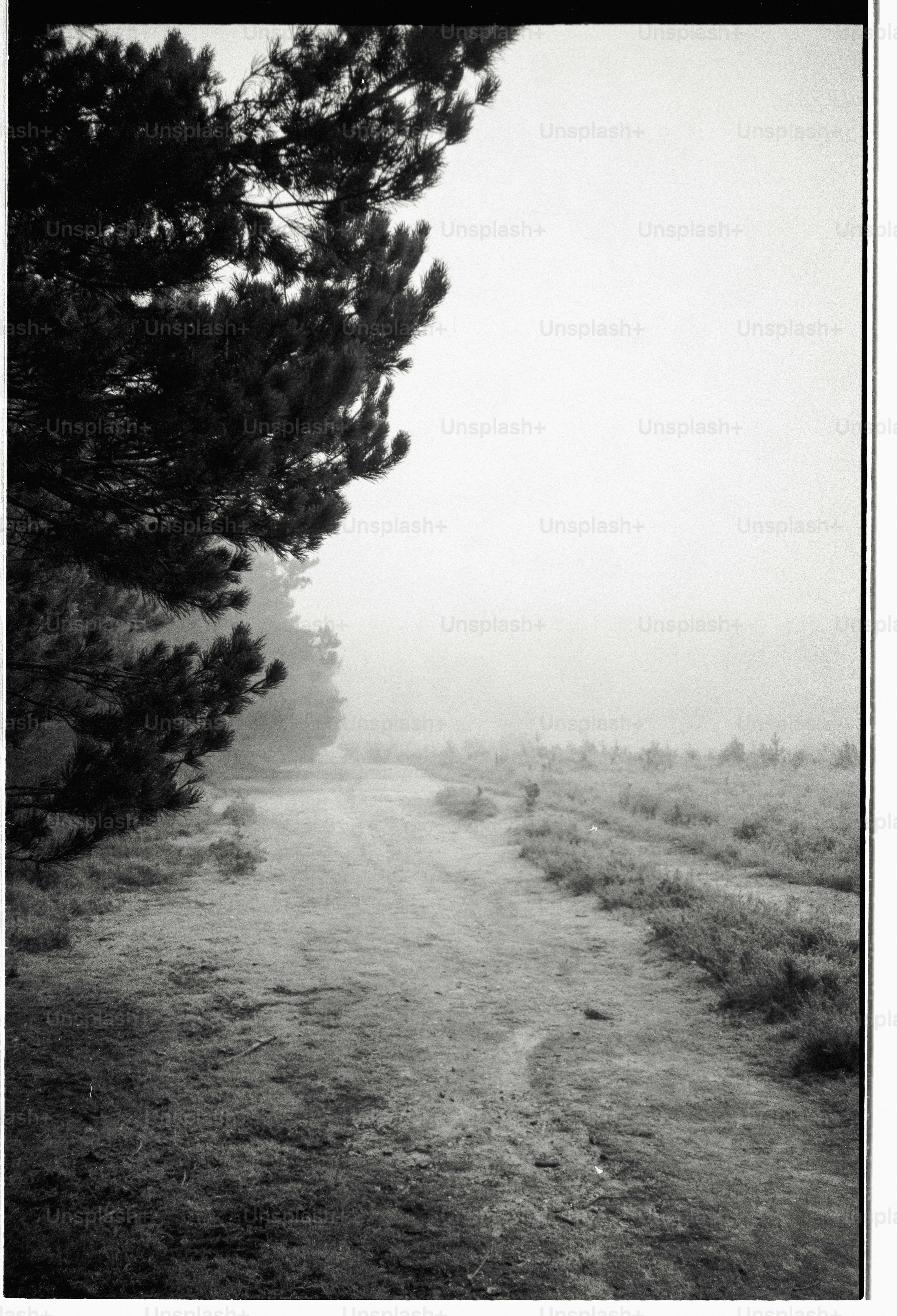 Rural village with a winding path through fields. photo – Winter Image ...