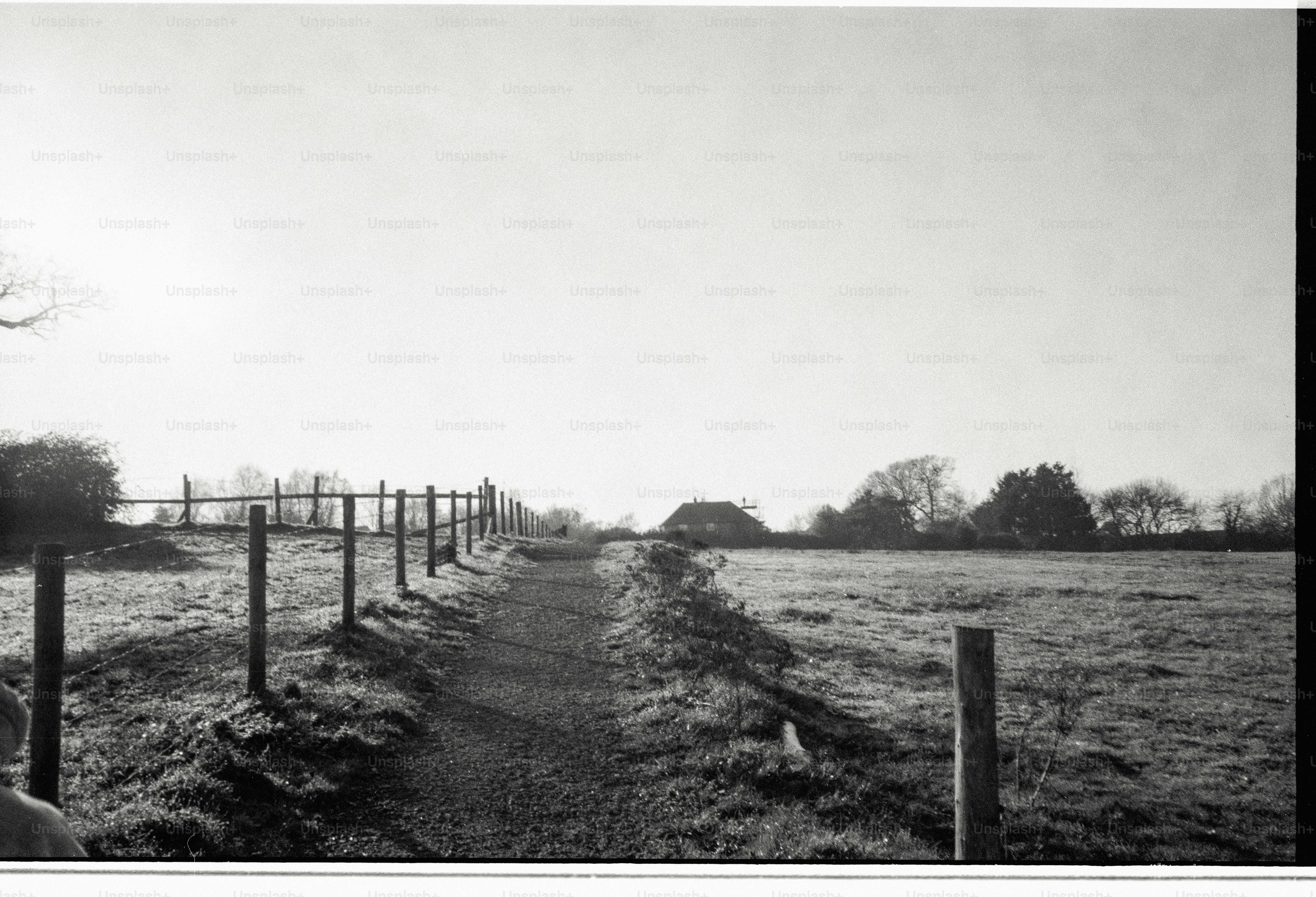 A gravel path leads through a field with a fence.